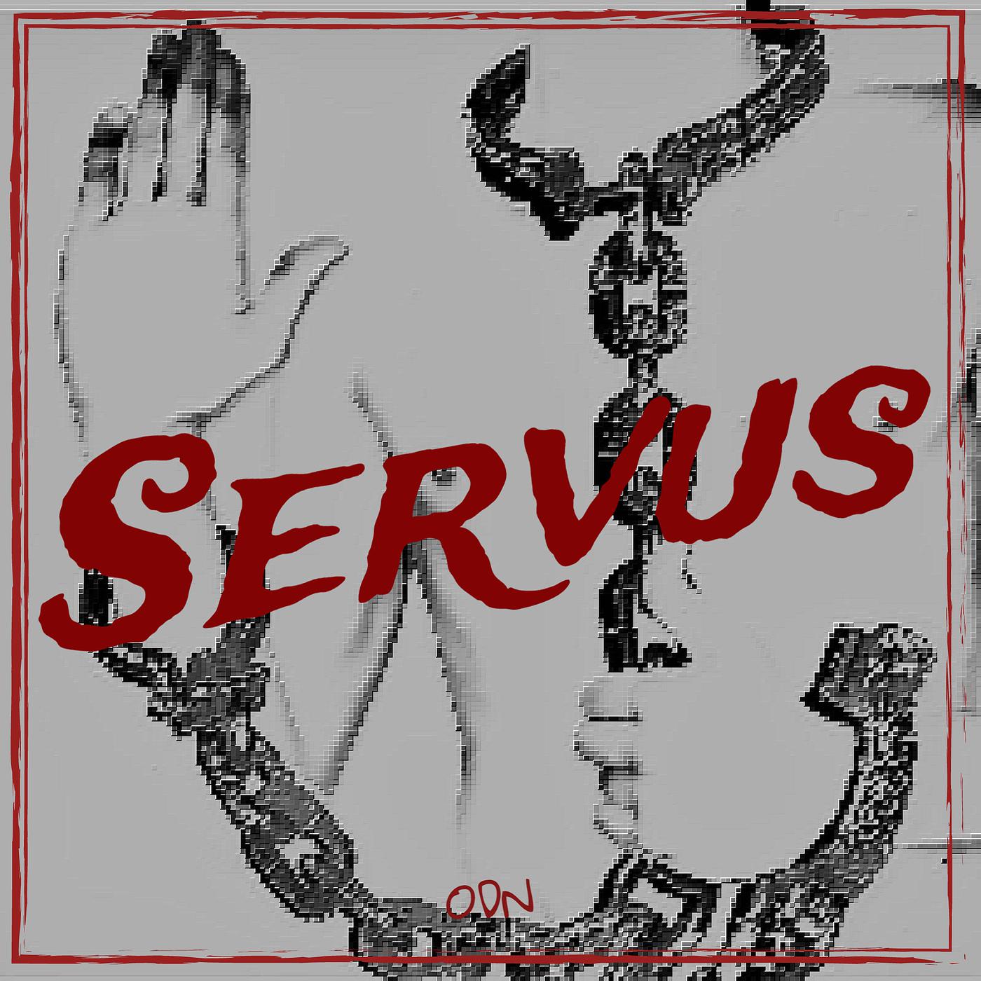 Постер альбома Servus