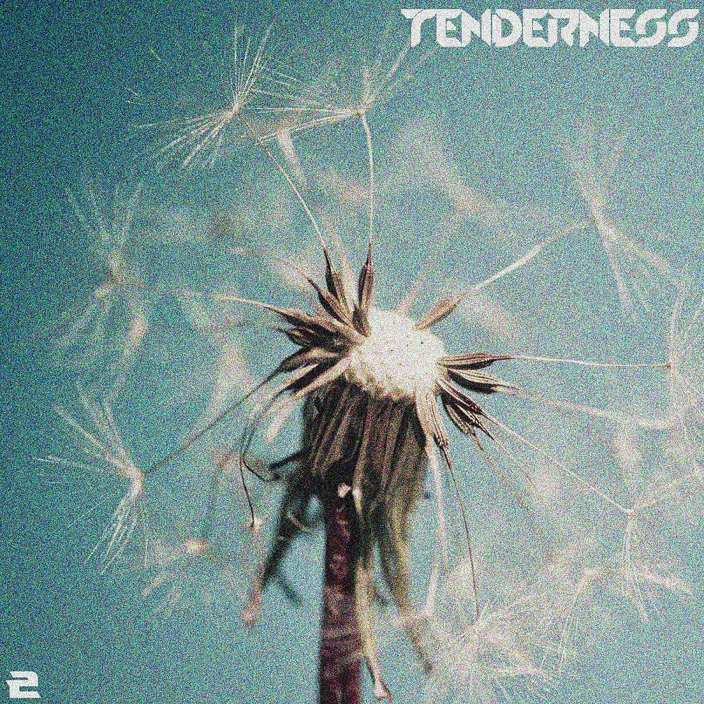Постер альбома Tenderness, Vol. 2