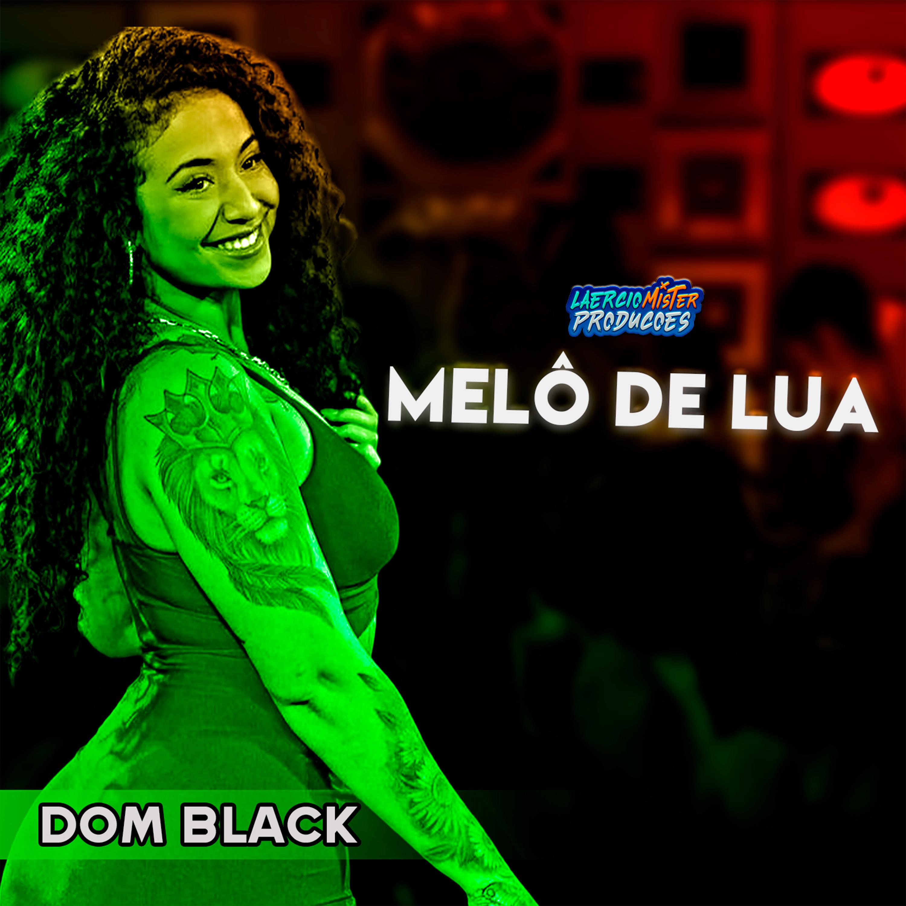 Постер альбома Melô de Lua
