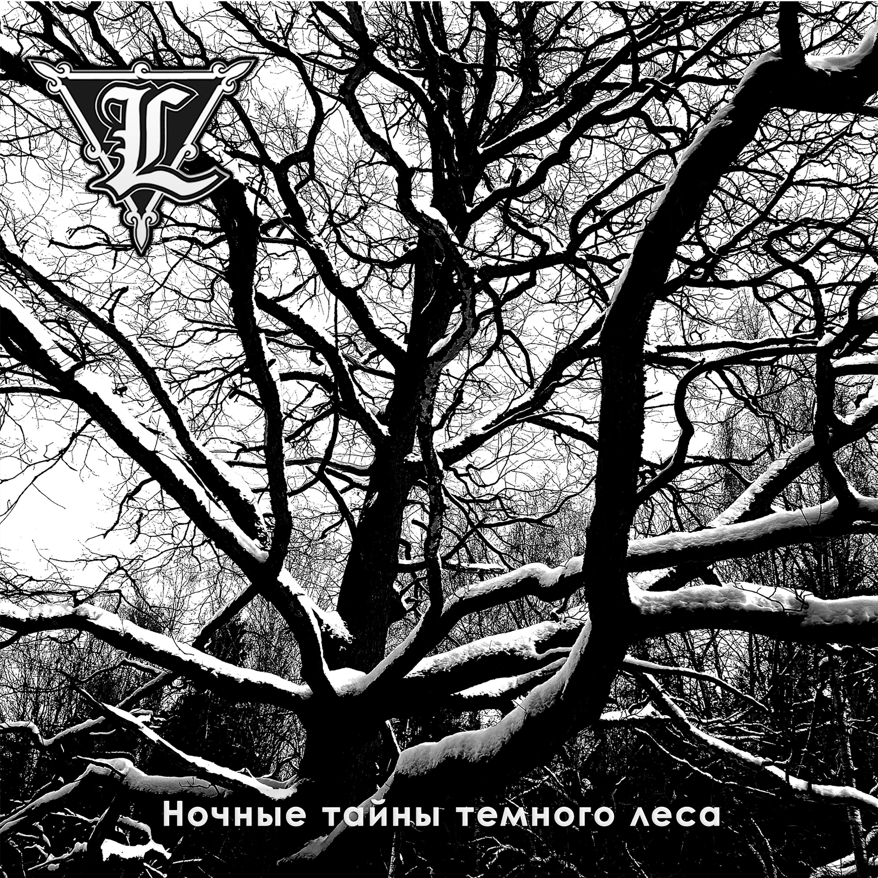 Постер альбома Ночные тайны темного леса