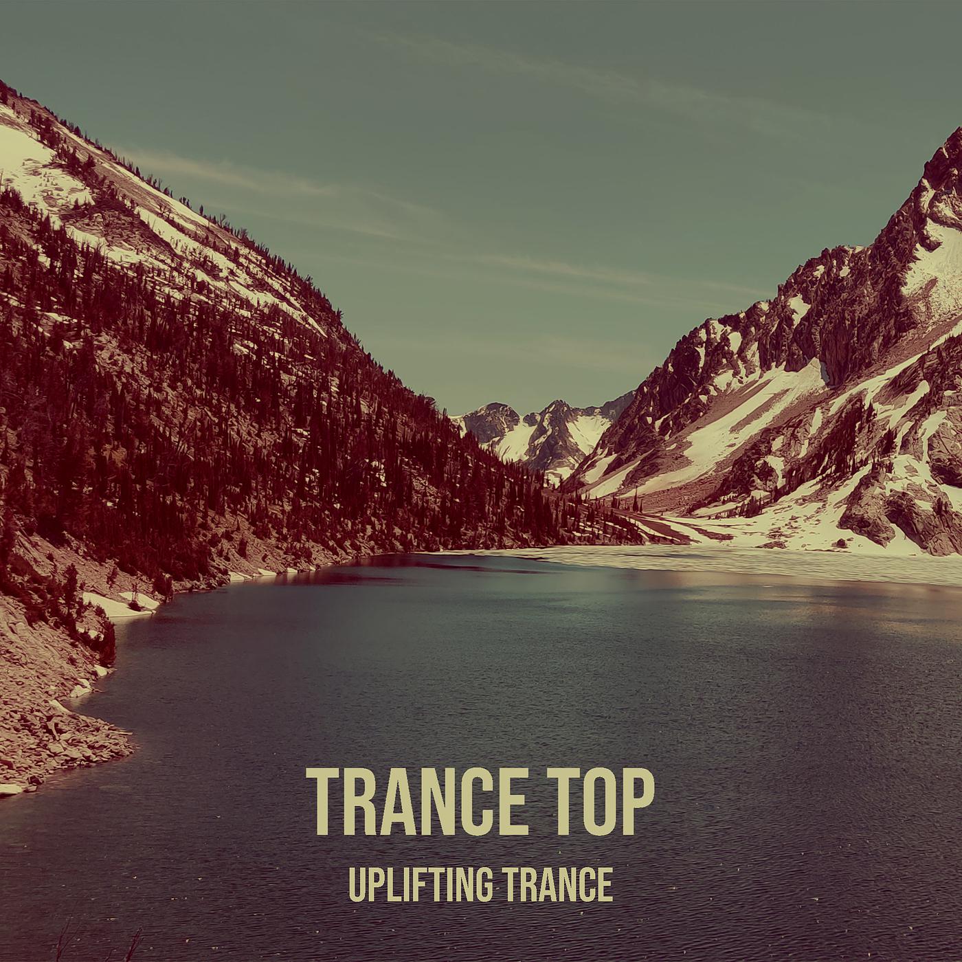 Постер альбома Trance Top