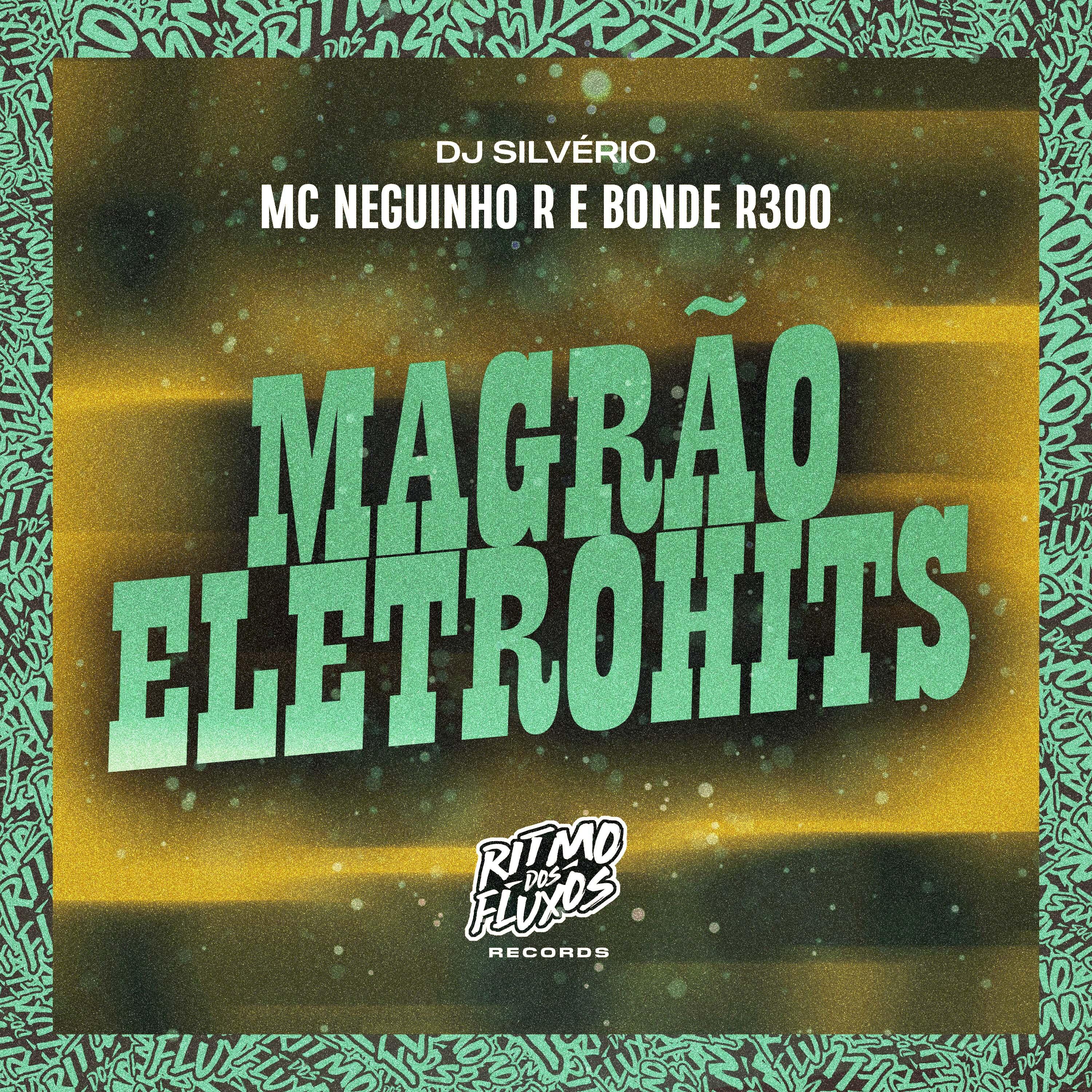 Постер альбома Magrão Eletrohits