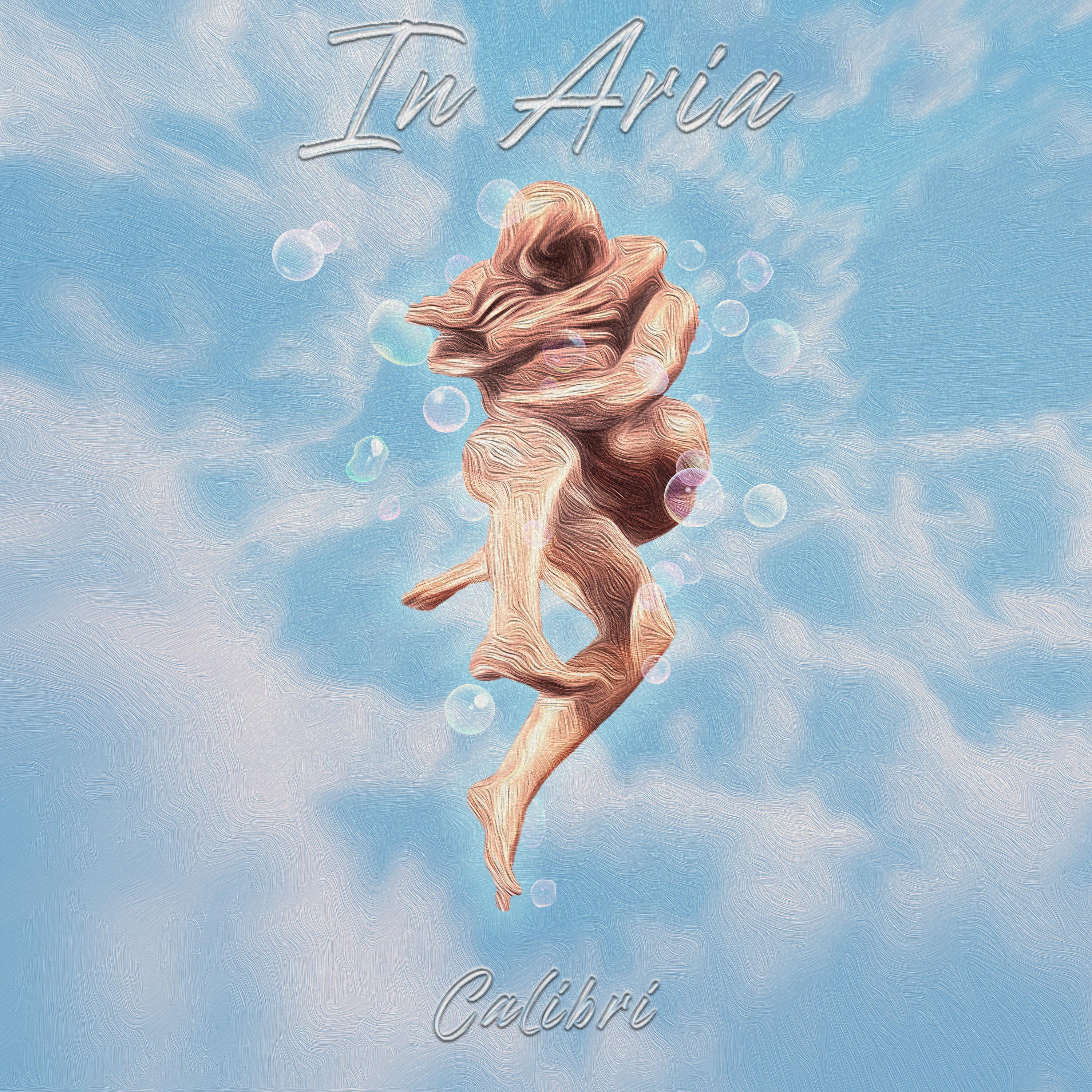 Постер альбома In aria