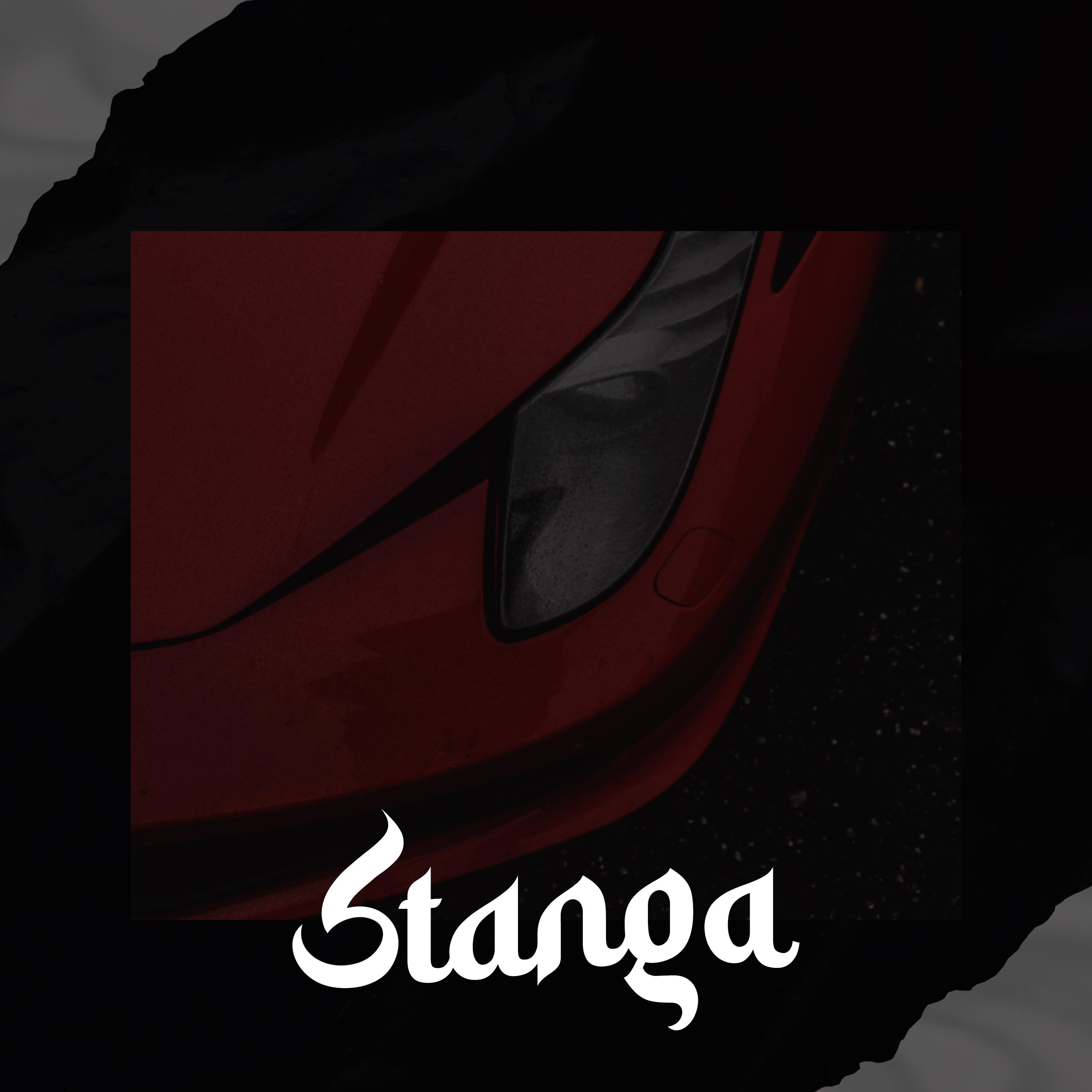 Постер альбома Stanga