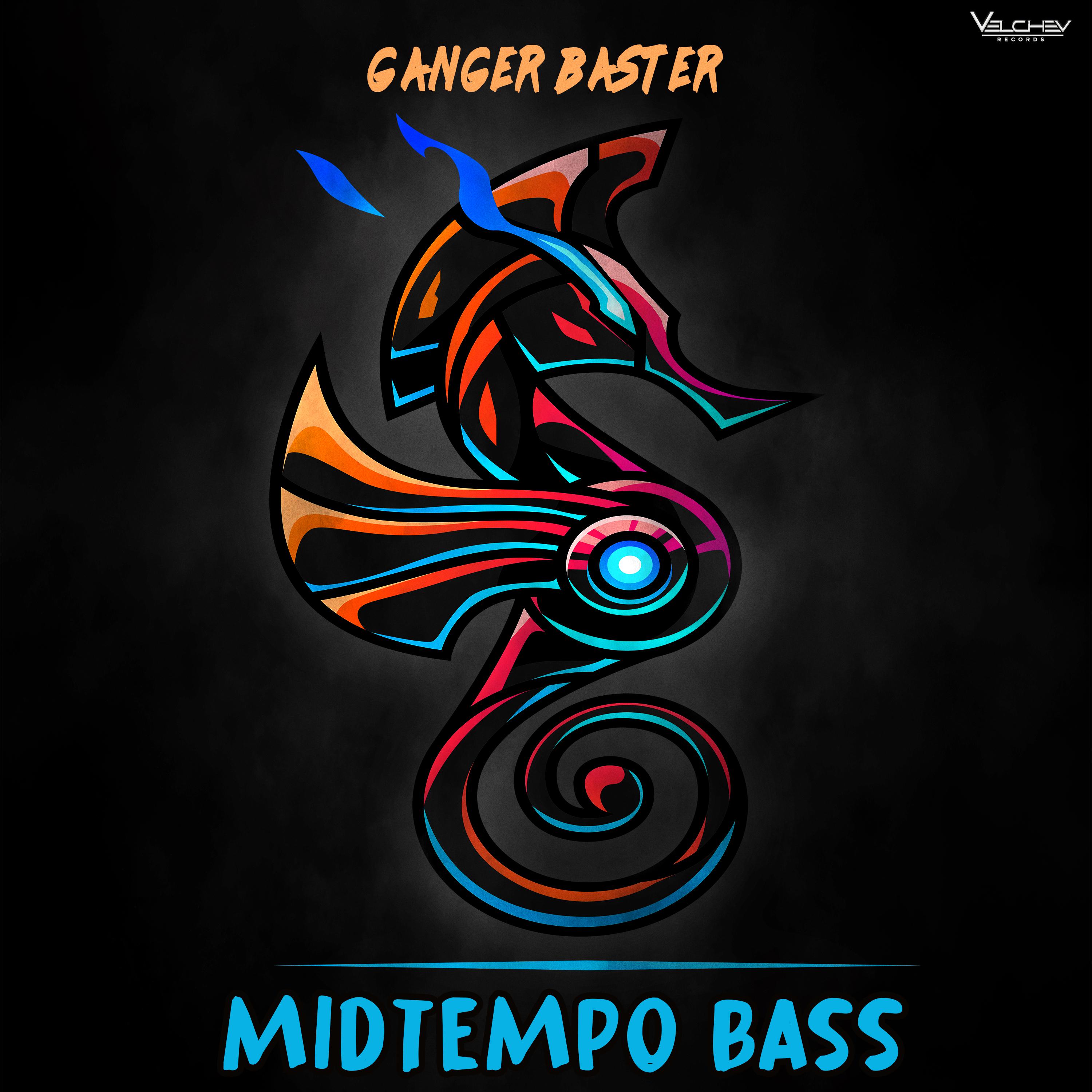 Постер альбома Midtempo Bass