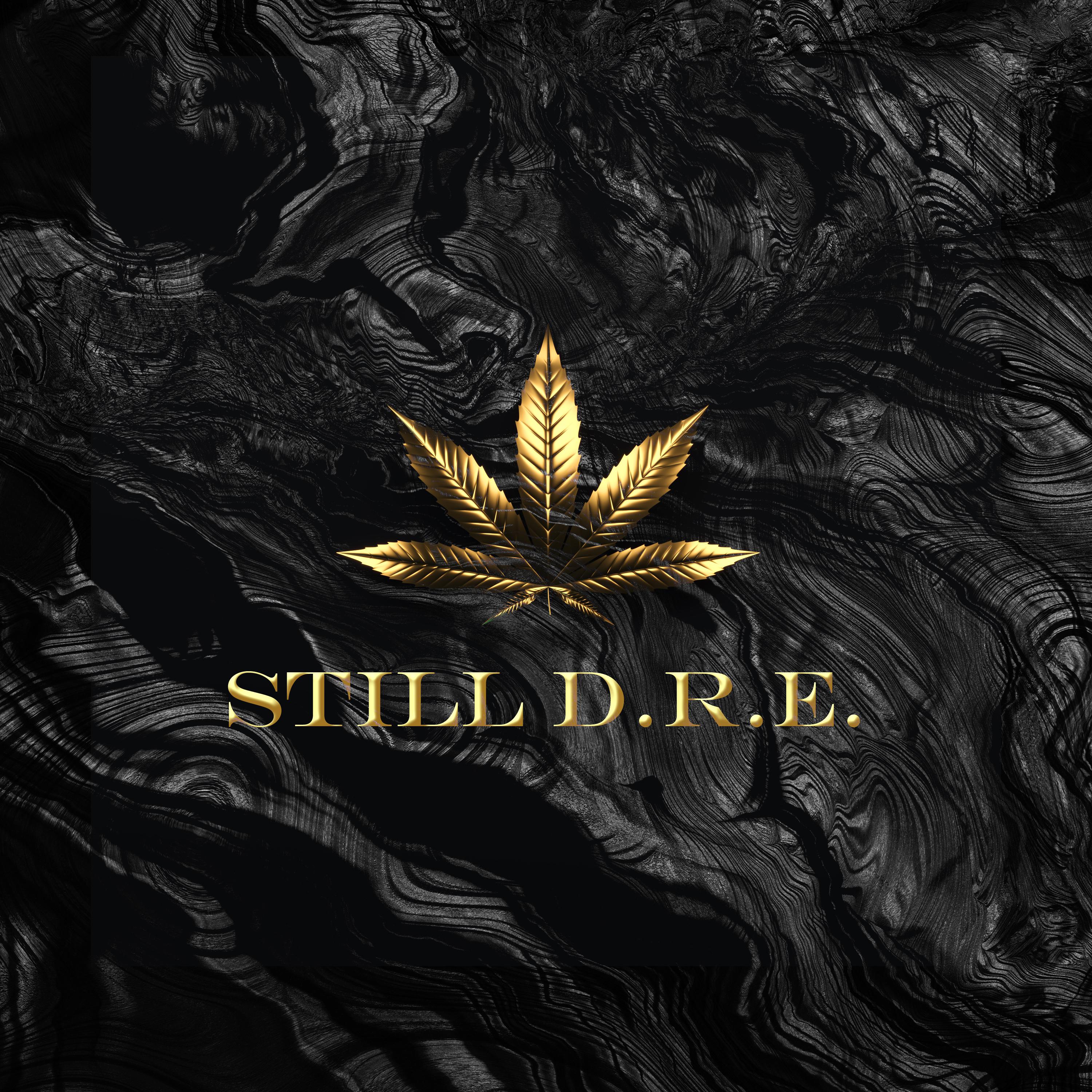 Постер альбома Still D.R.E