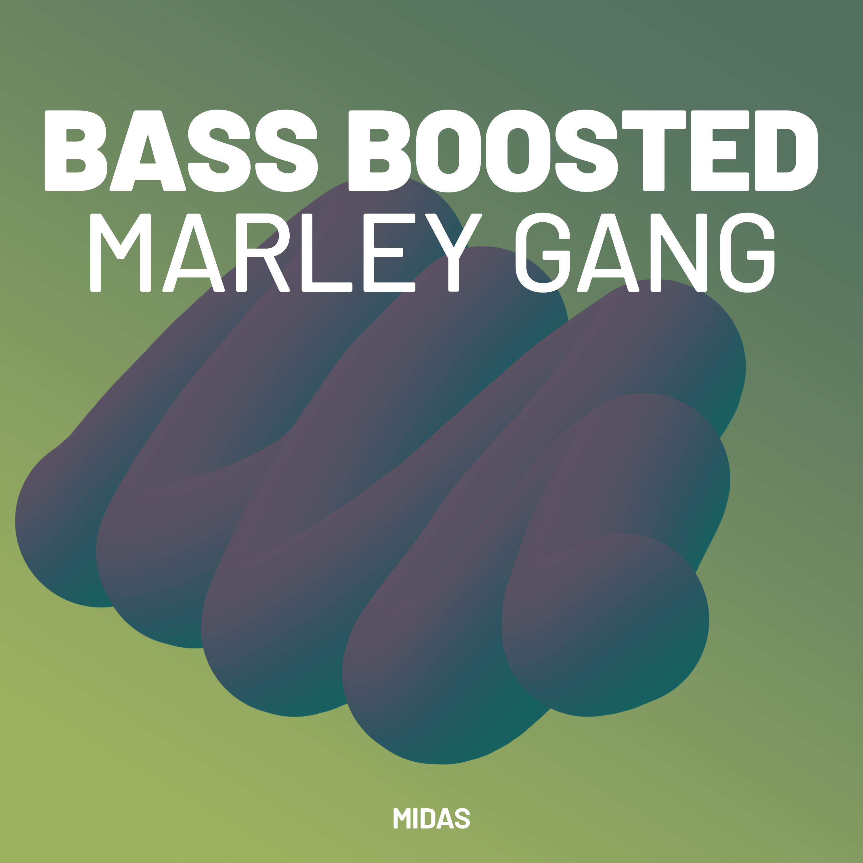 Постер альбома Marley Gang
