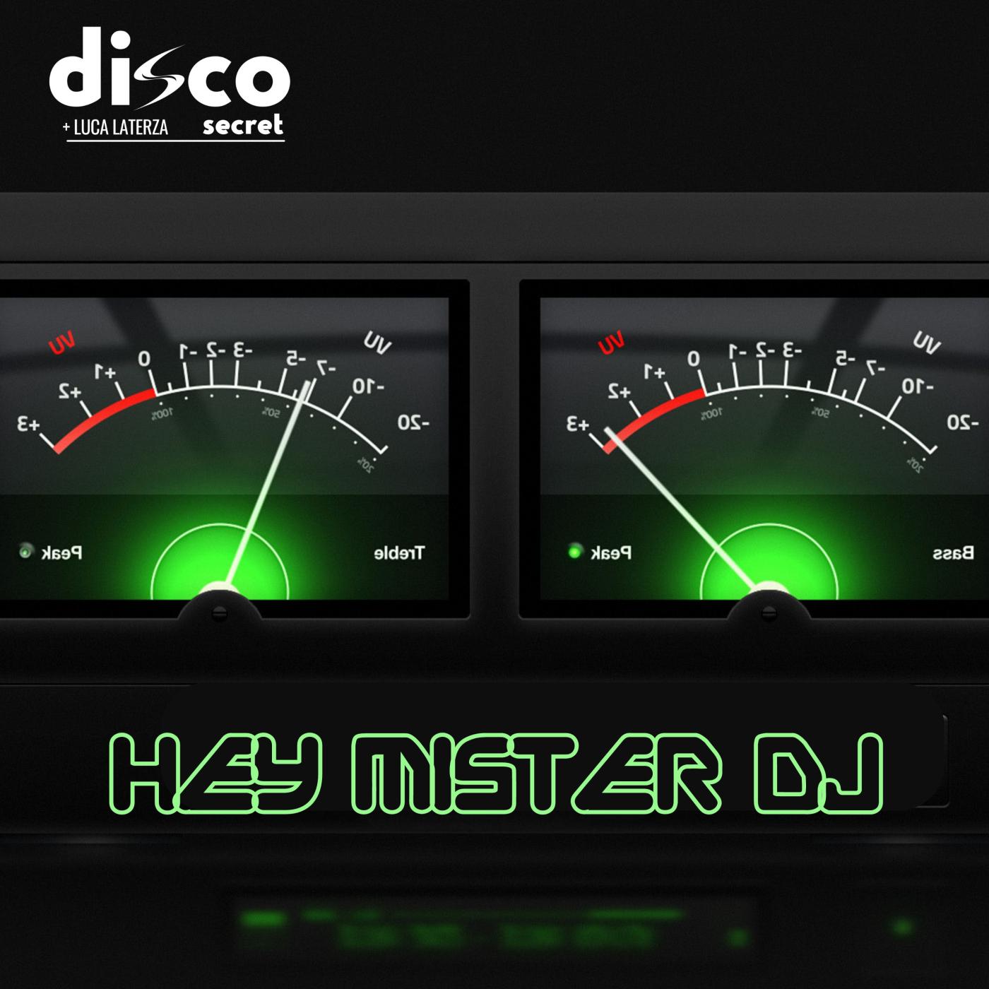 Постер альбома Hey Mister DJ