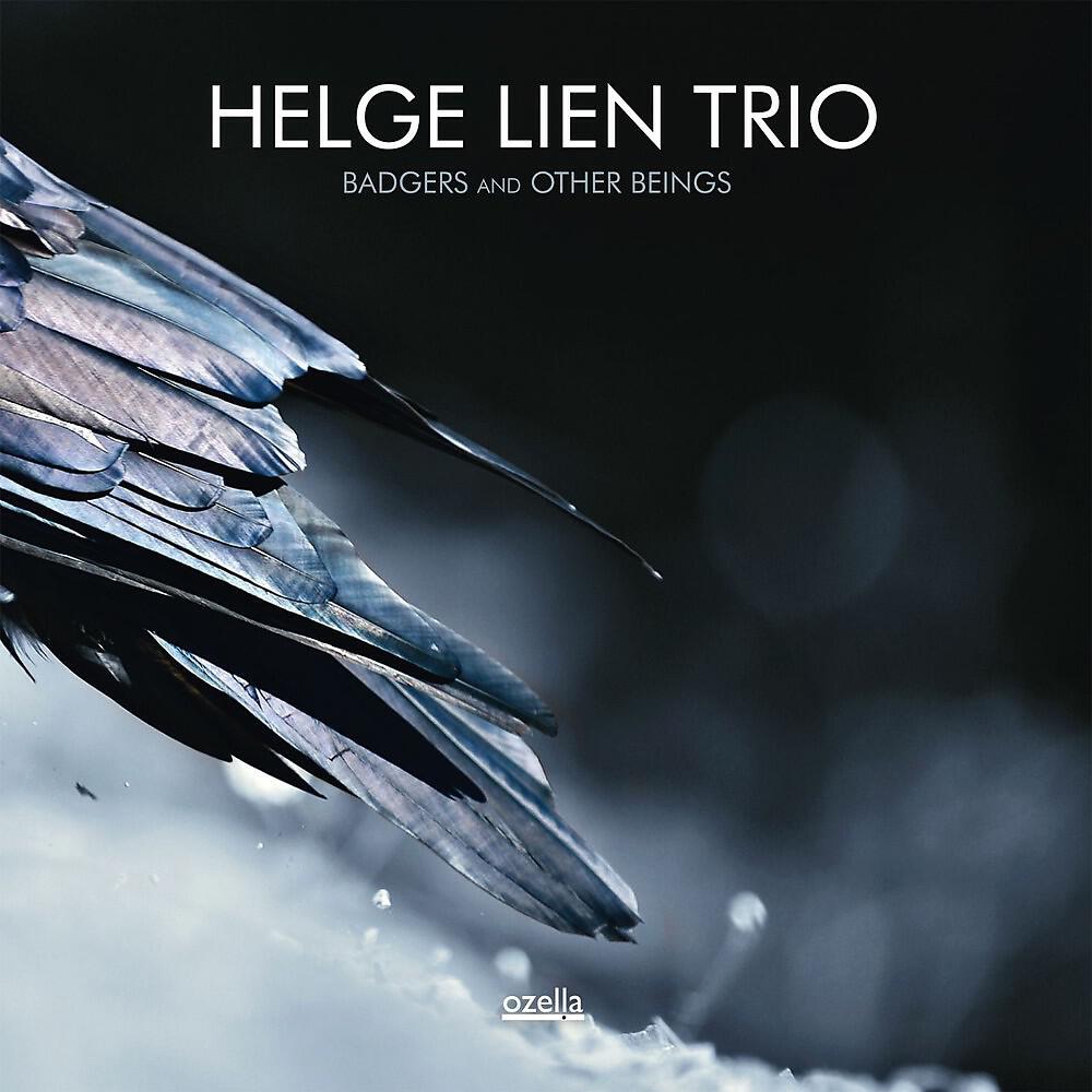 Helge Lien Trio - Badger's Lullaby