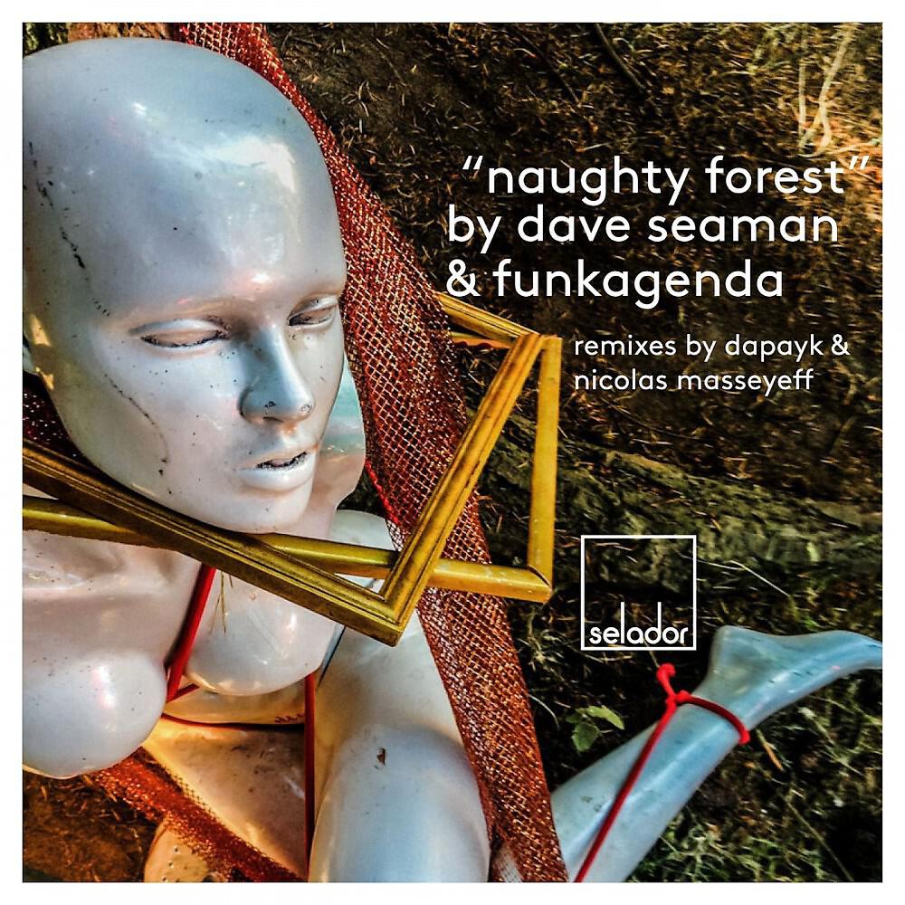 Dave Seaman & Funkagenda - Naughty Forest (Nicolas Masseyeff Remix)