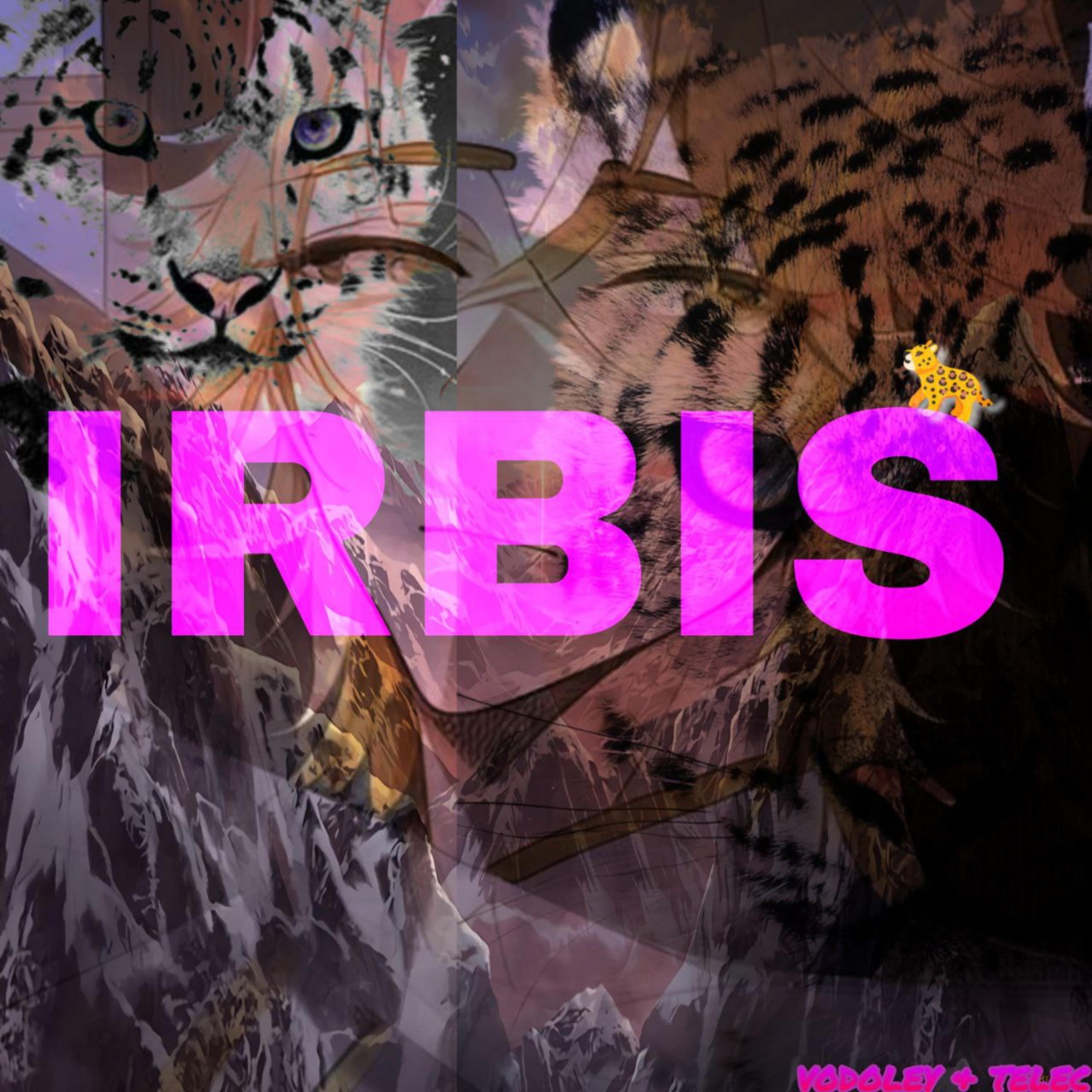 Постер альбома Irbis