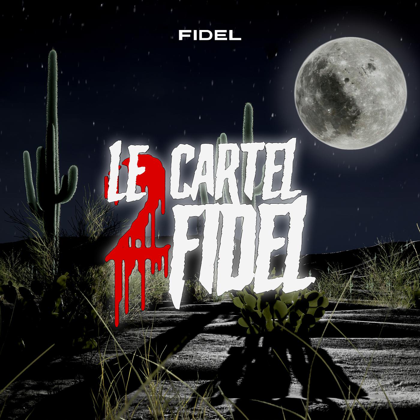 Постер альбома Le cartel 2 fidel