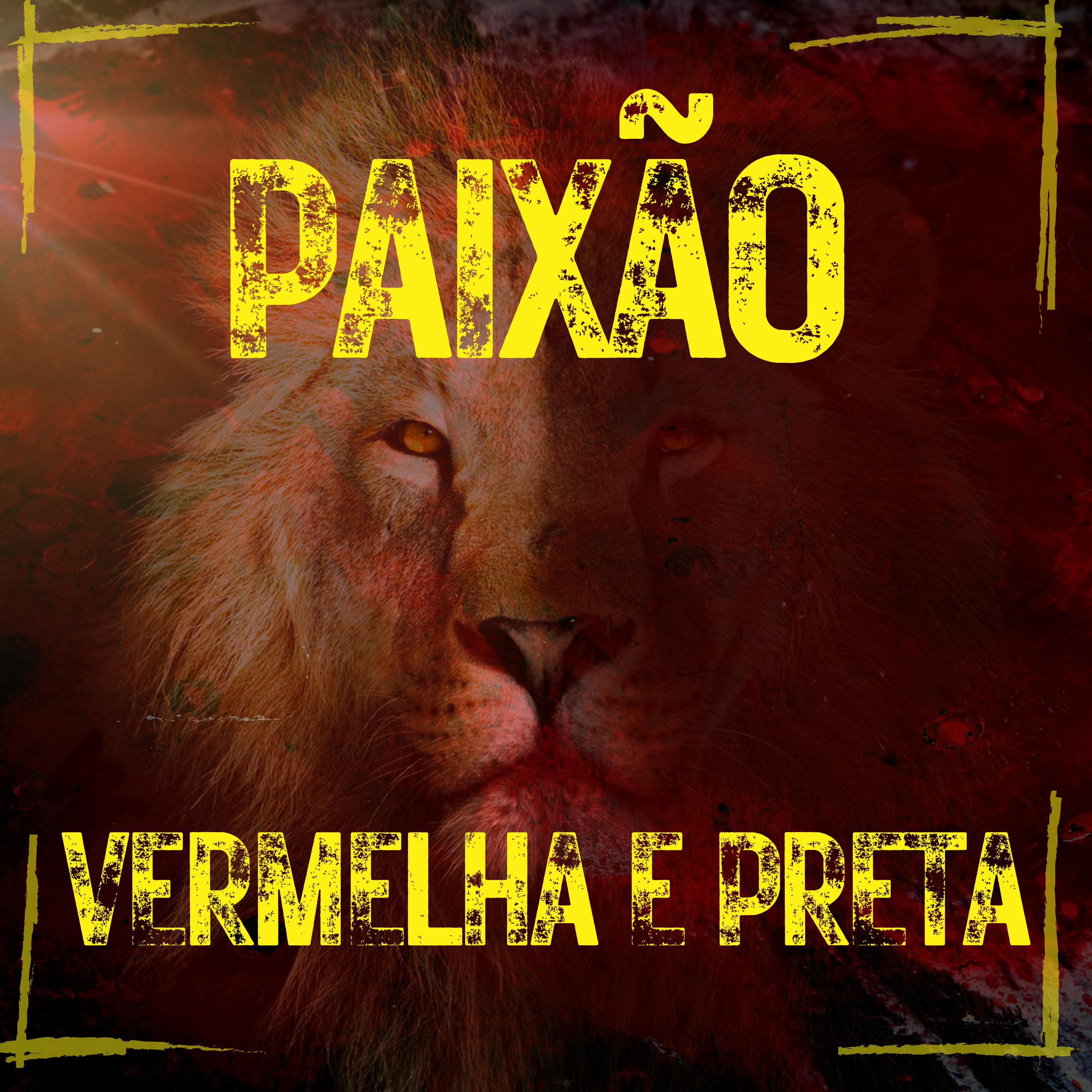Постер альбома Paixão Vermelha e Preta