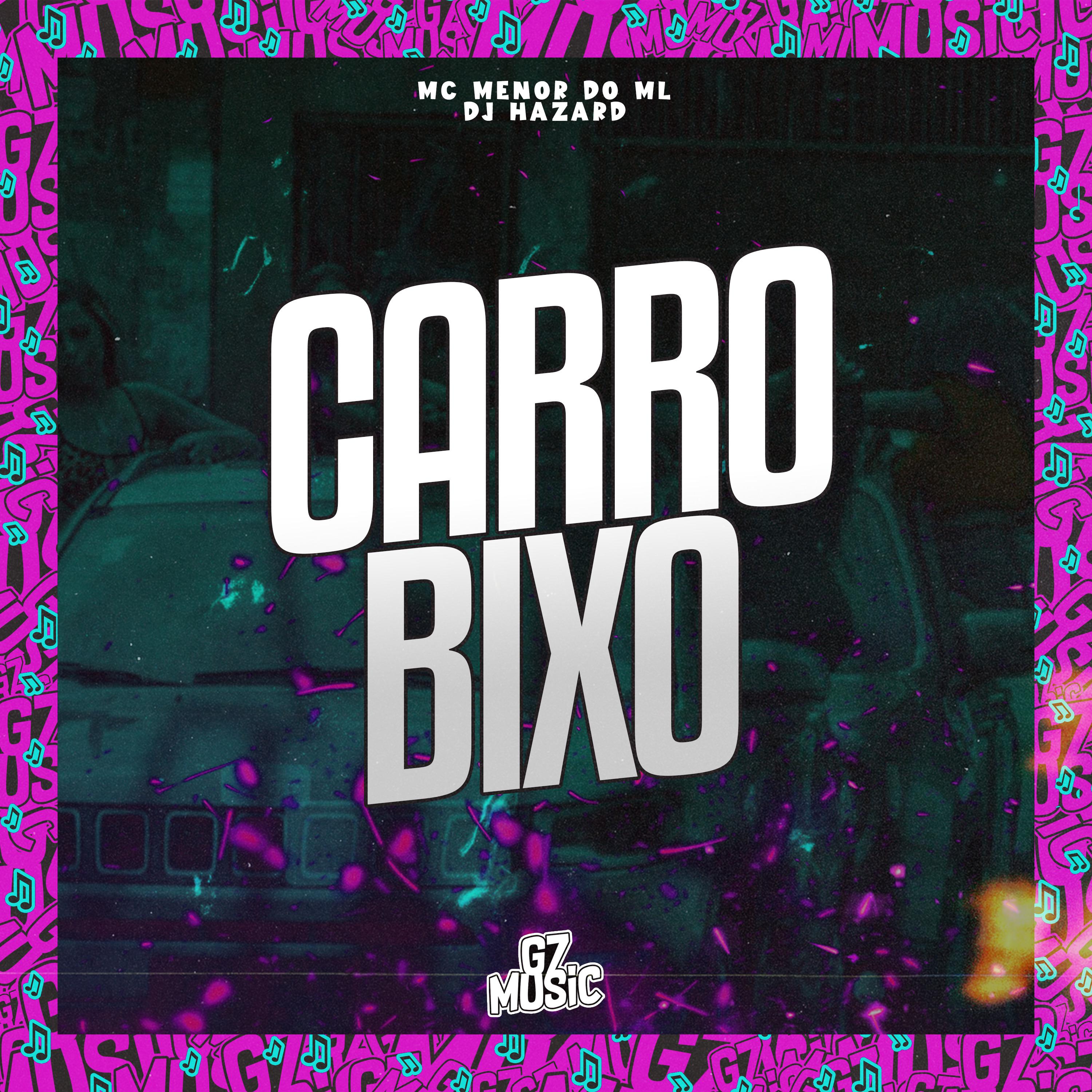 Постер альбома Carro Bixo