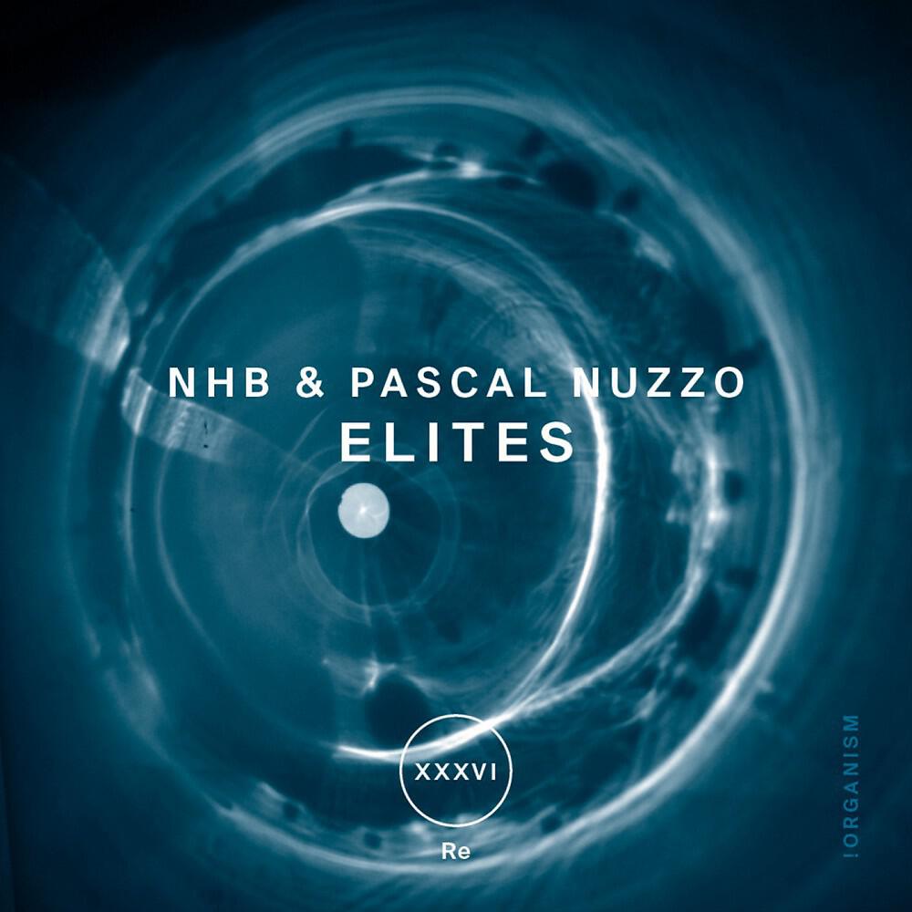 NHB & Pascal Nuzzo - Controversial (Original Mix)