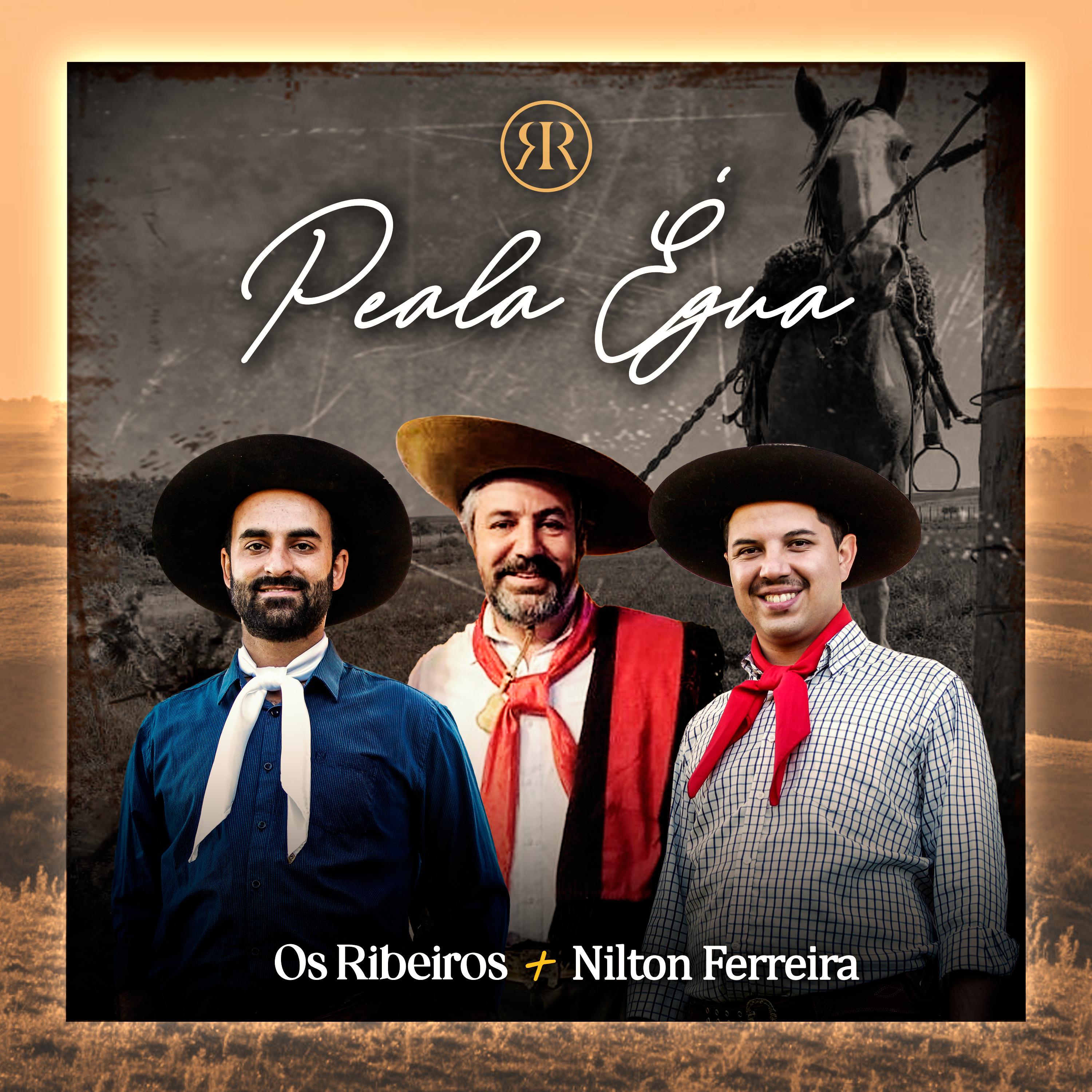 Постер альбома Peala Égua