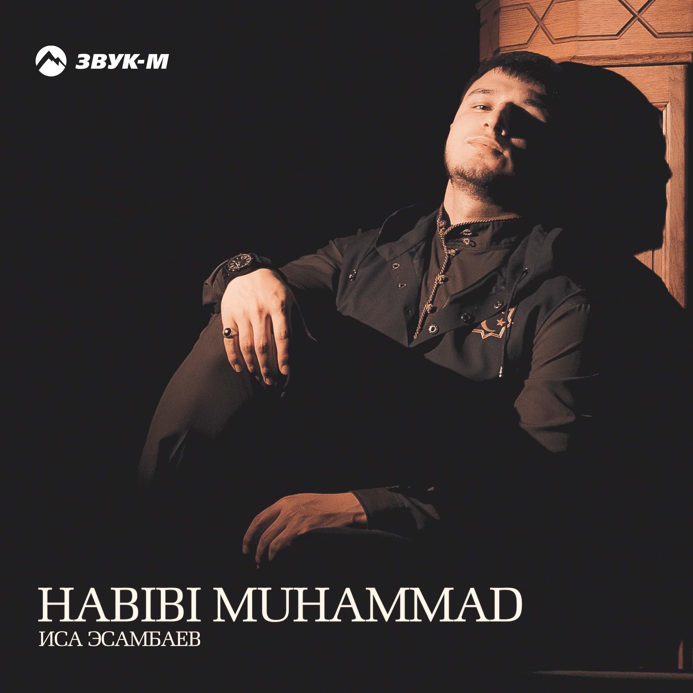 Постер альбома Habibi Muhammad (Nasheed)
