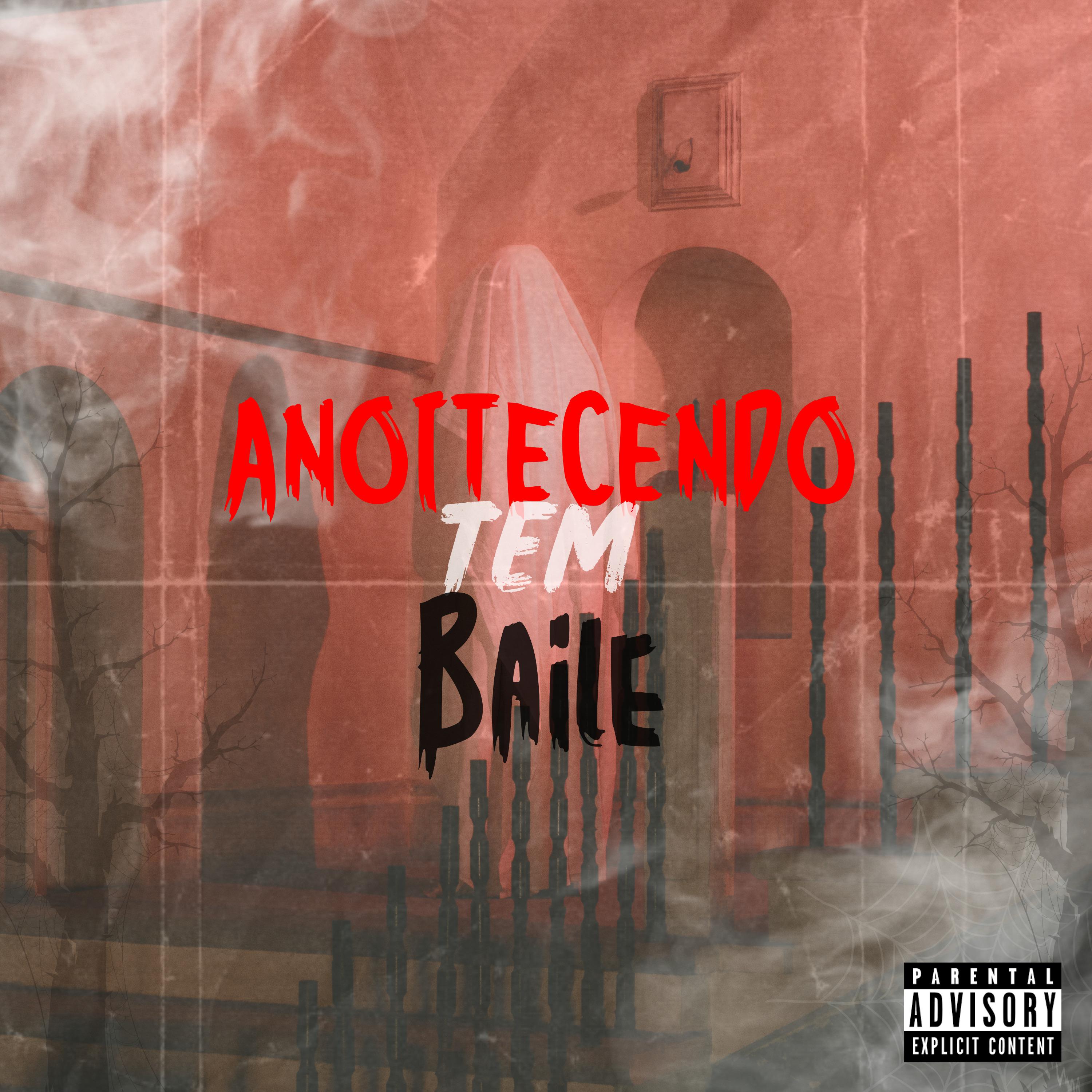 Постер альбома Anoitecendo Tem Baile!