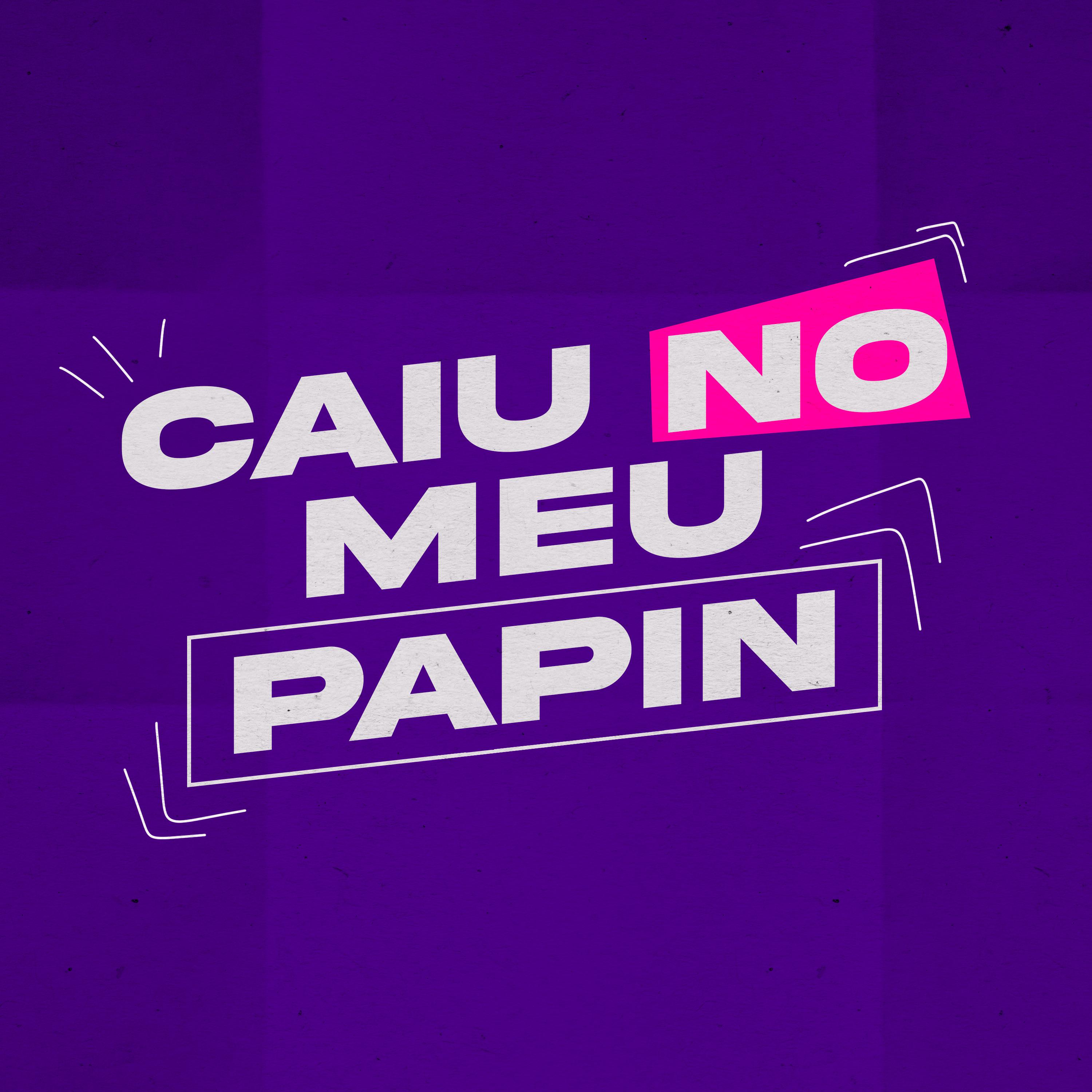 Постер альбома Caiu no Meu Papin