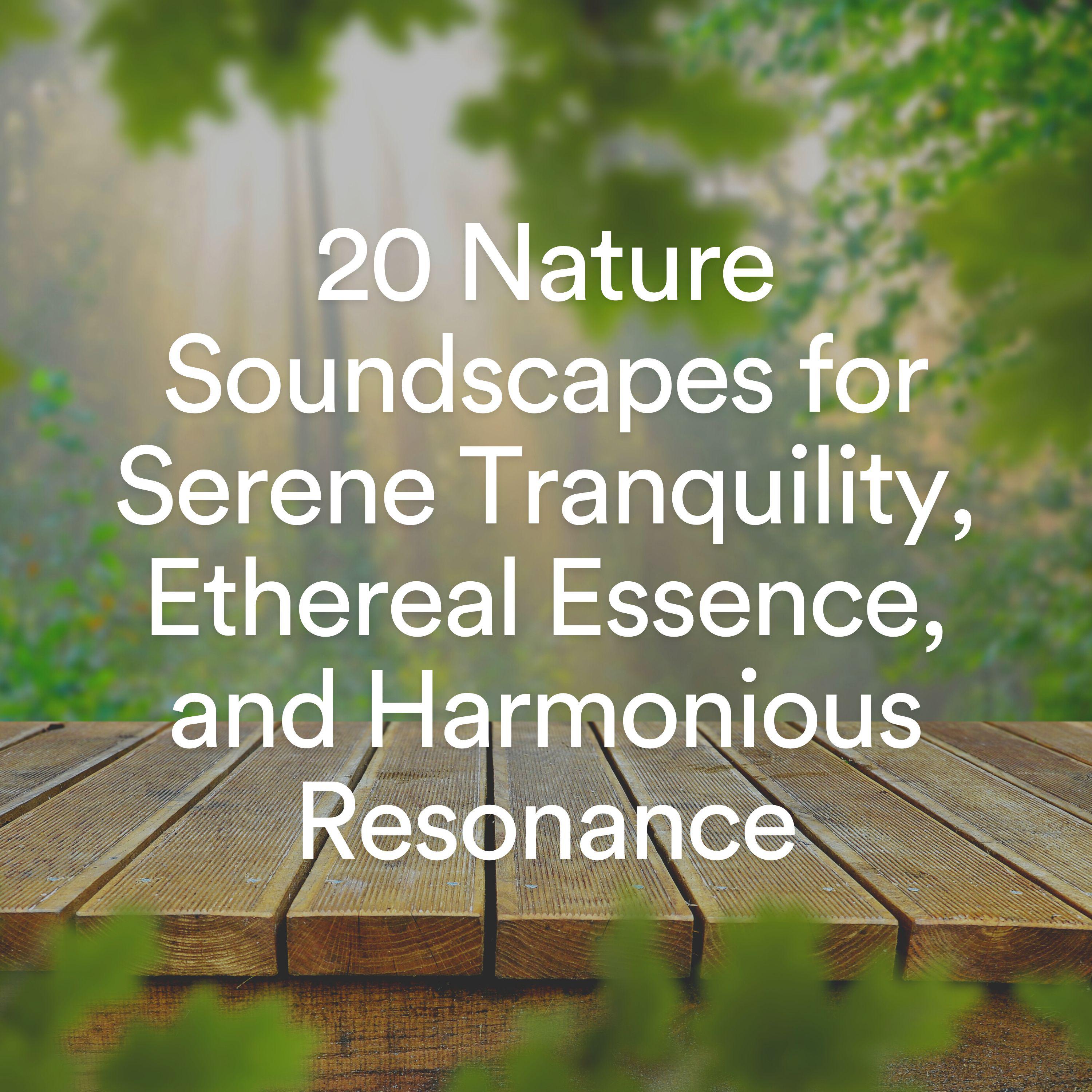 Постер альбома 20 Nature Soundscapes for Serene Tranquility, Ethereal Essence, and Harmonious Resonance