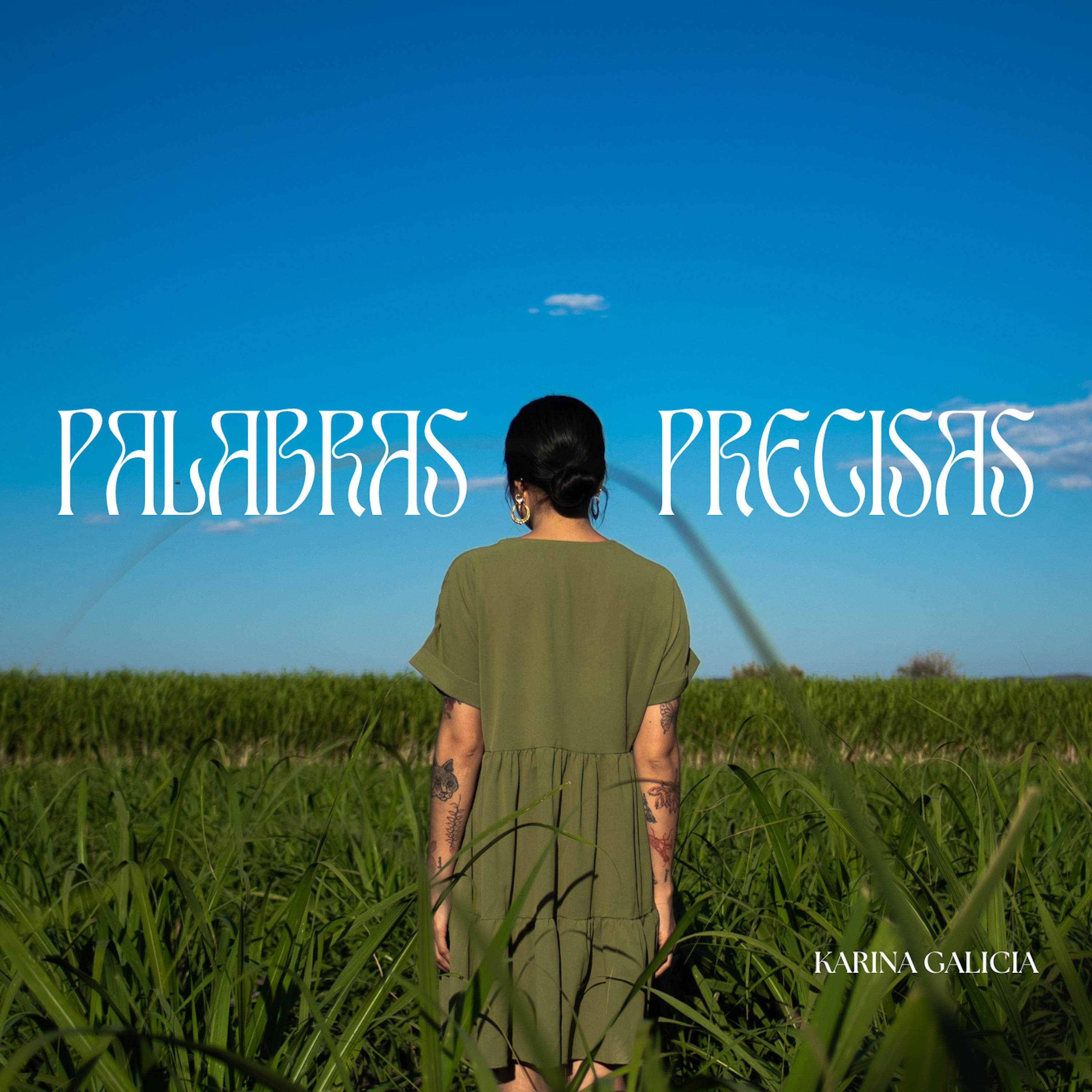 Постер альбома Palabras Precisas