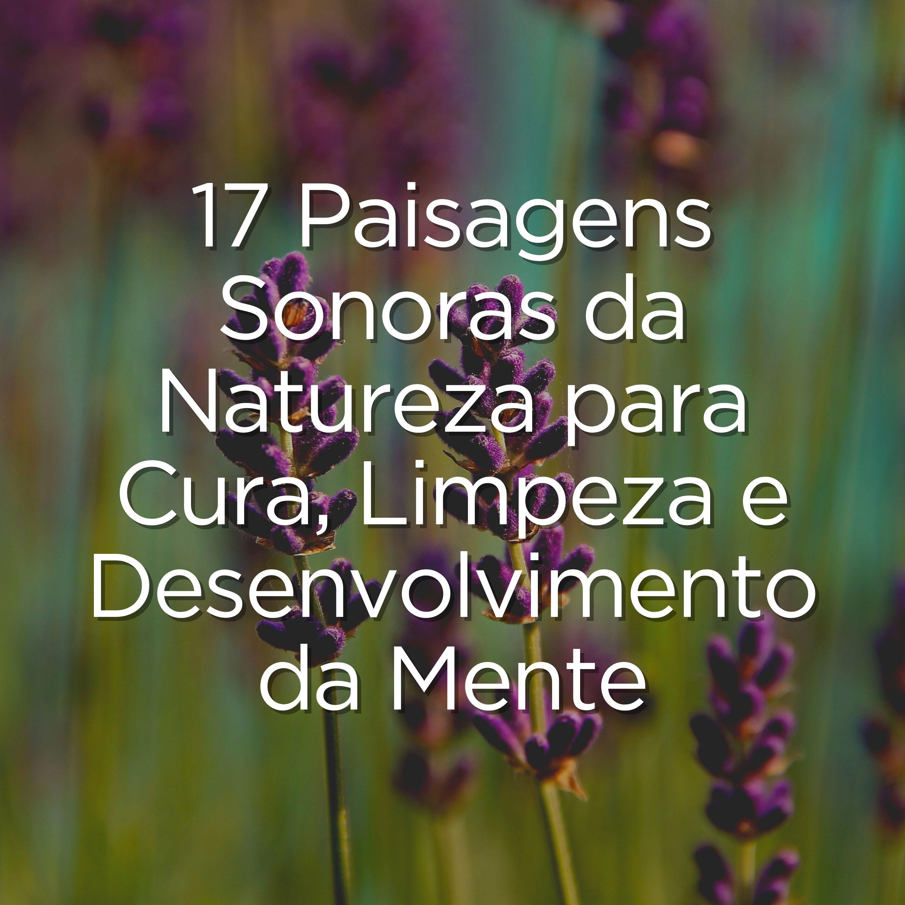 Постер альбома 17 Paisagens Sonoras da Natureza para Cura, Limpeza e Desenvolvimento da Mente