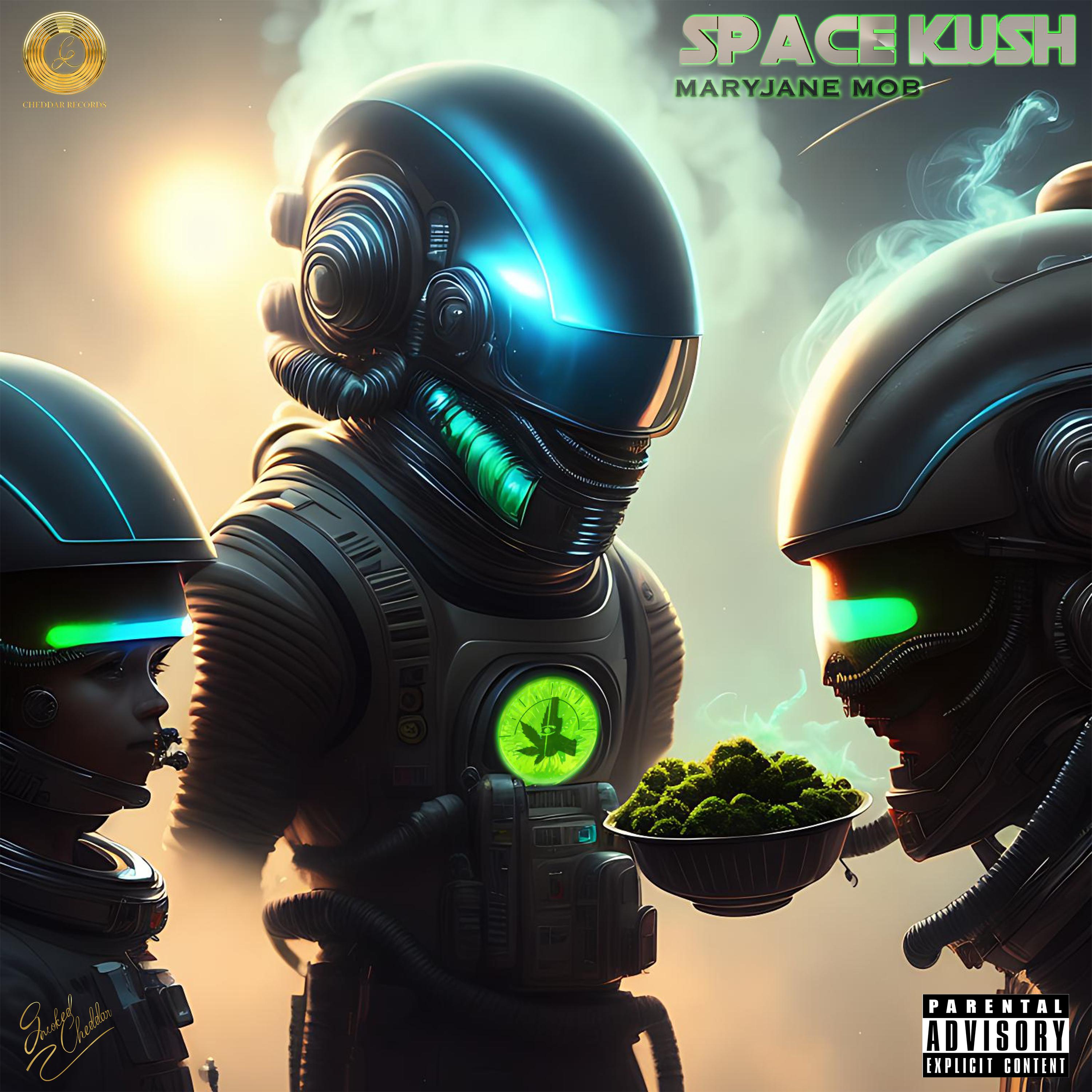Постер альбома SPACE KUSH