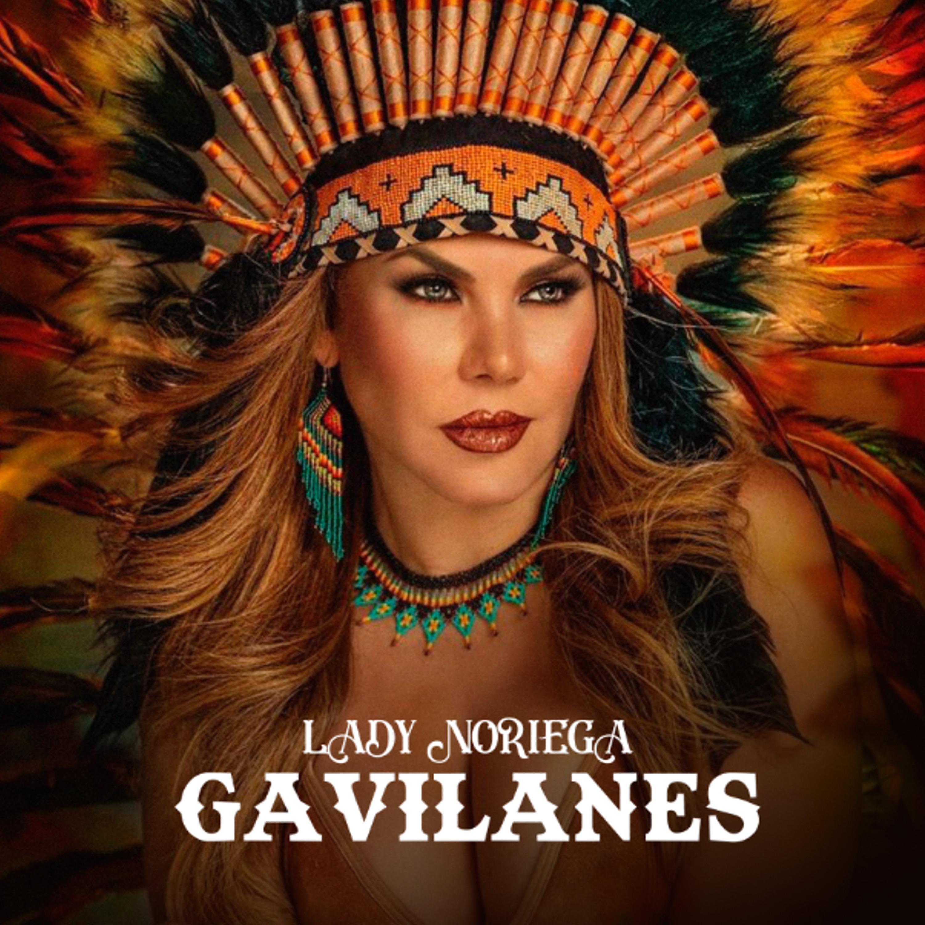 Постер альбома Gavilanes