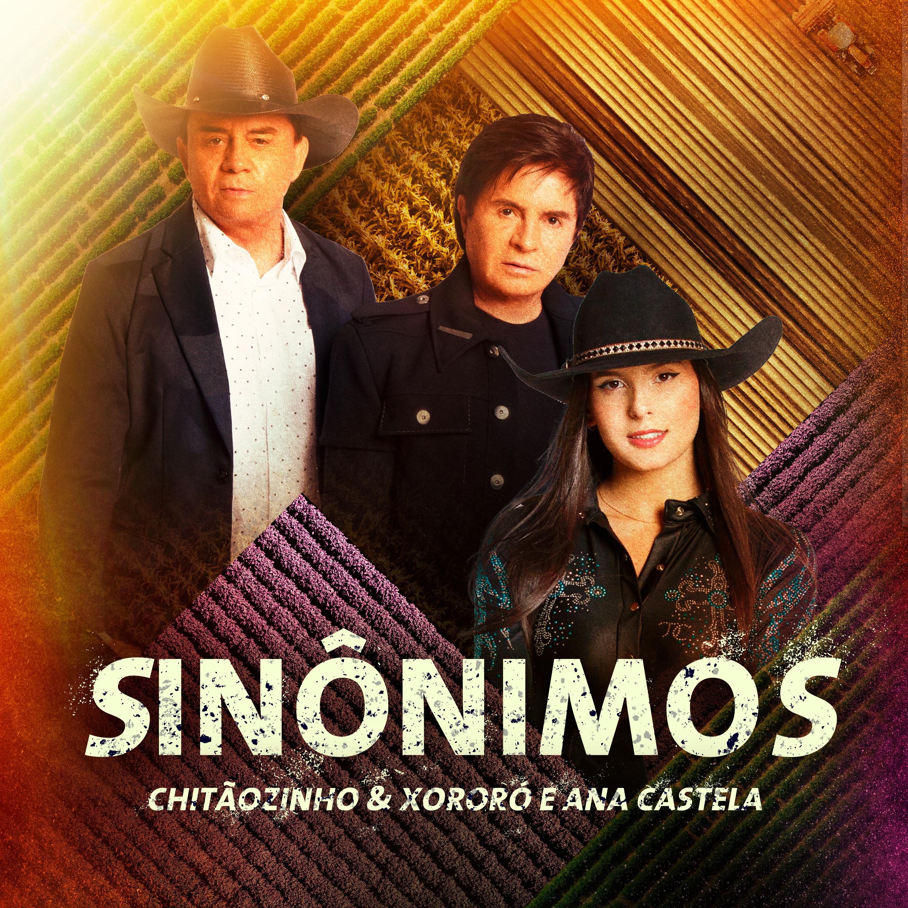 Постер альбома Sinônimos