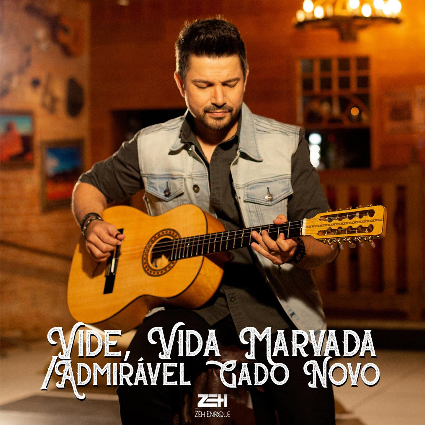 Постер альбома Vide Vida Marvada / Admirável Gado Novo