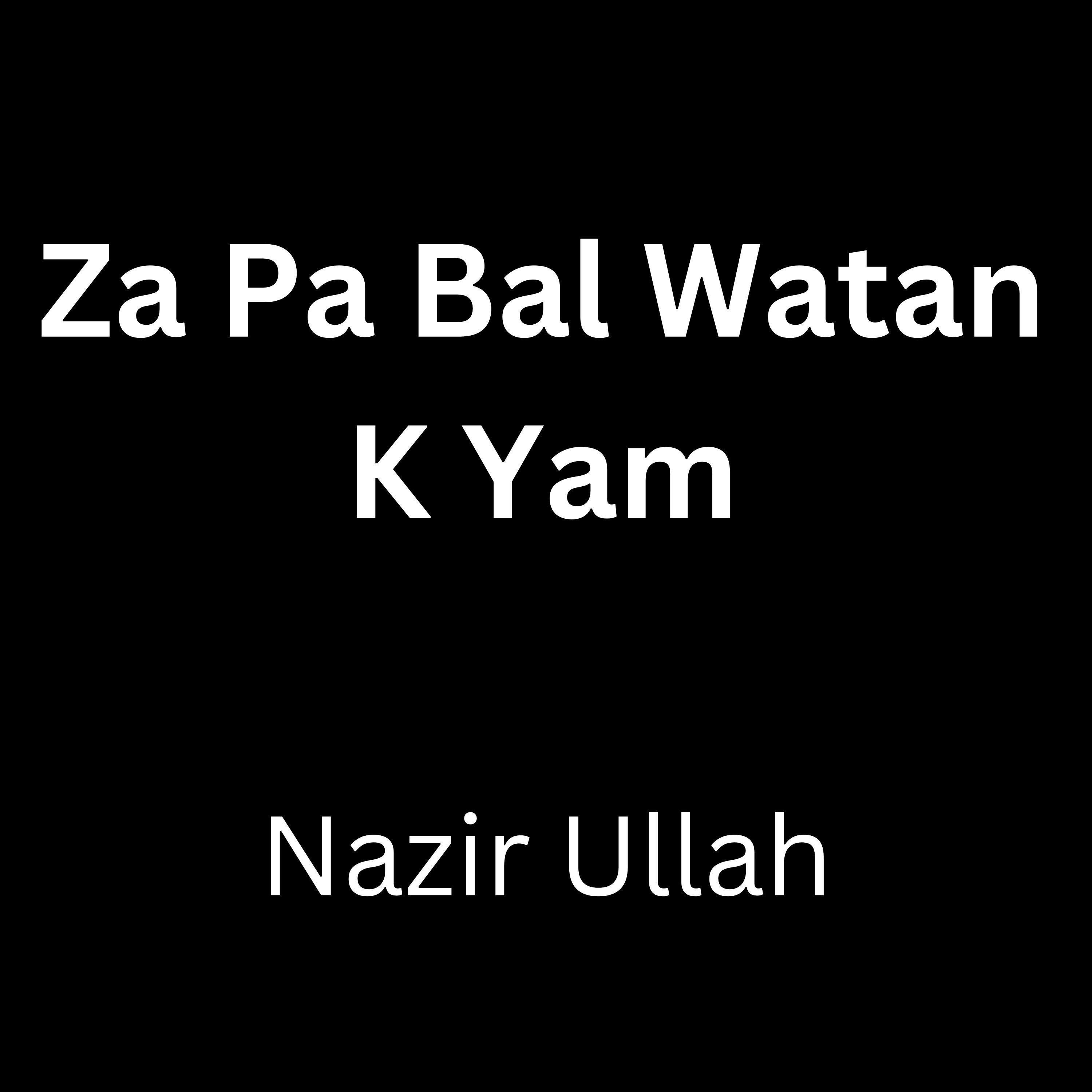 Постер альбома Za Pa Bal Watan K Yam