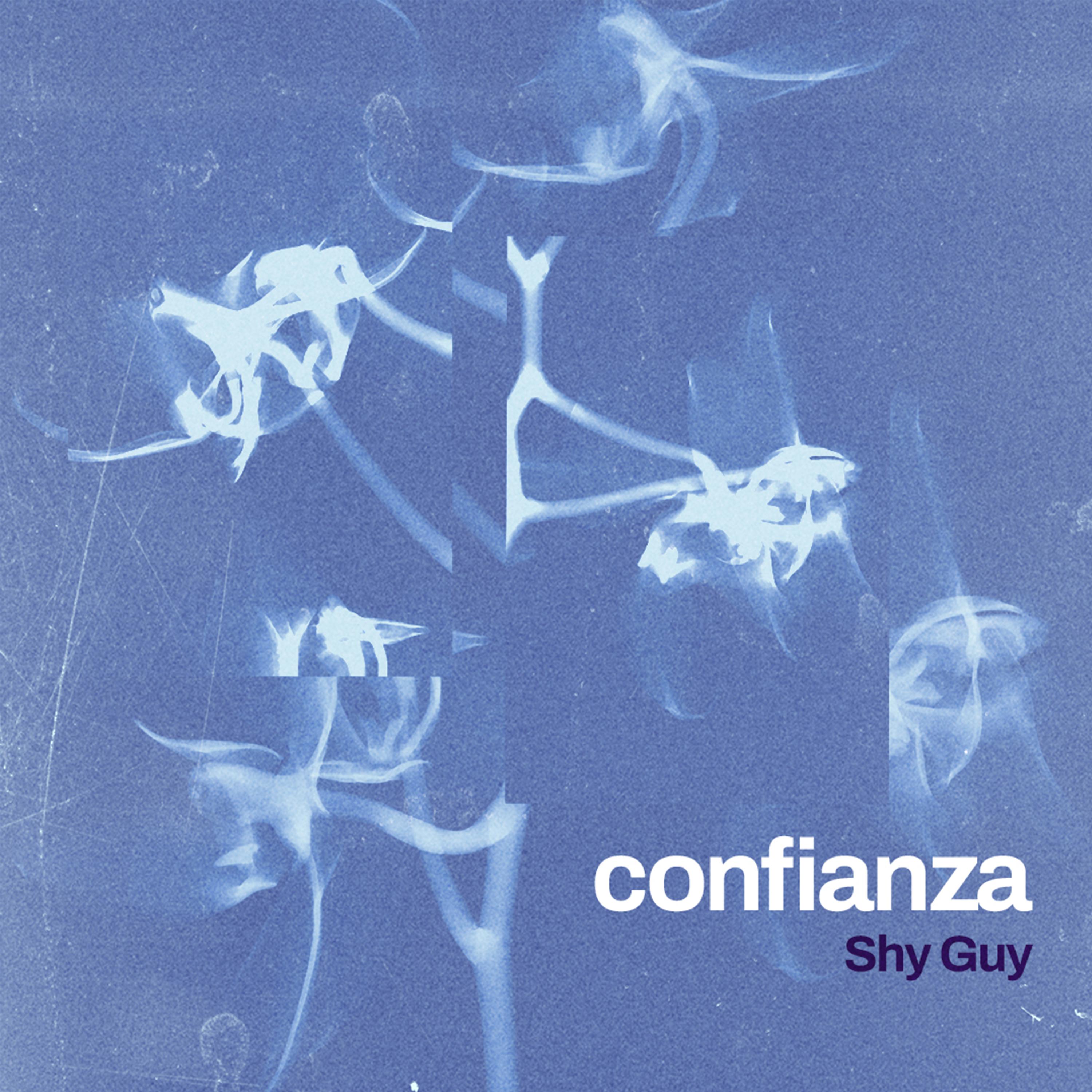 Постер альбома Confianza