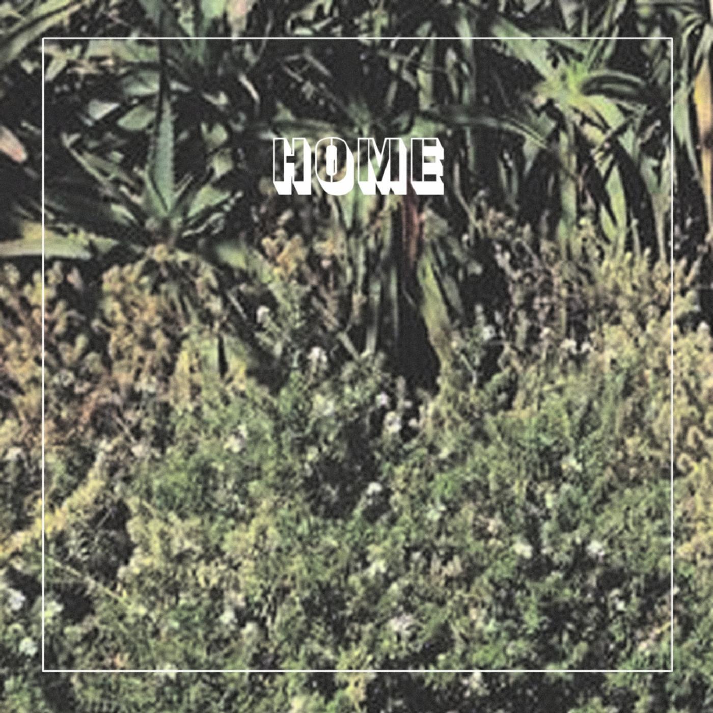Freedom Fry - Home