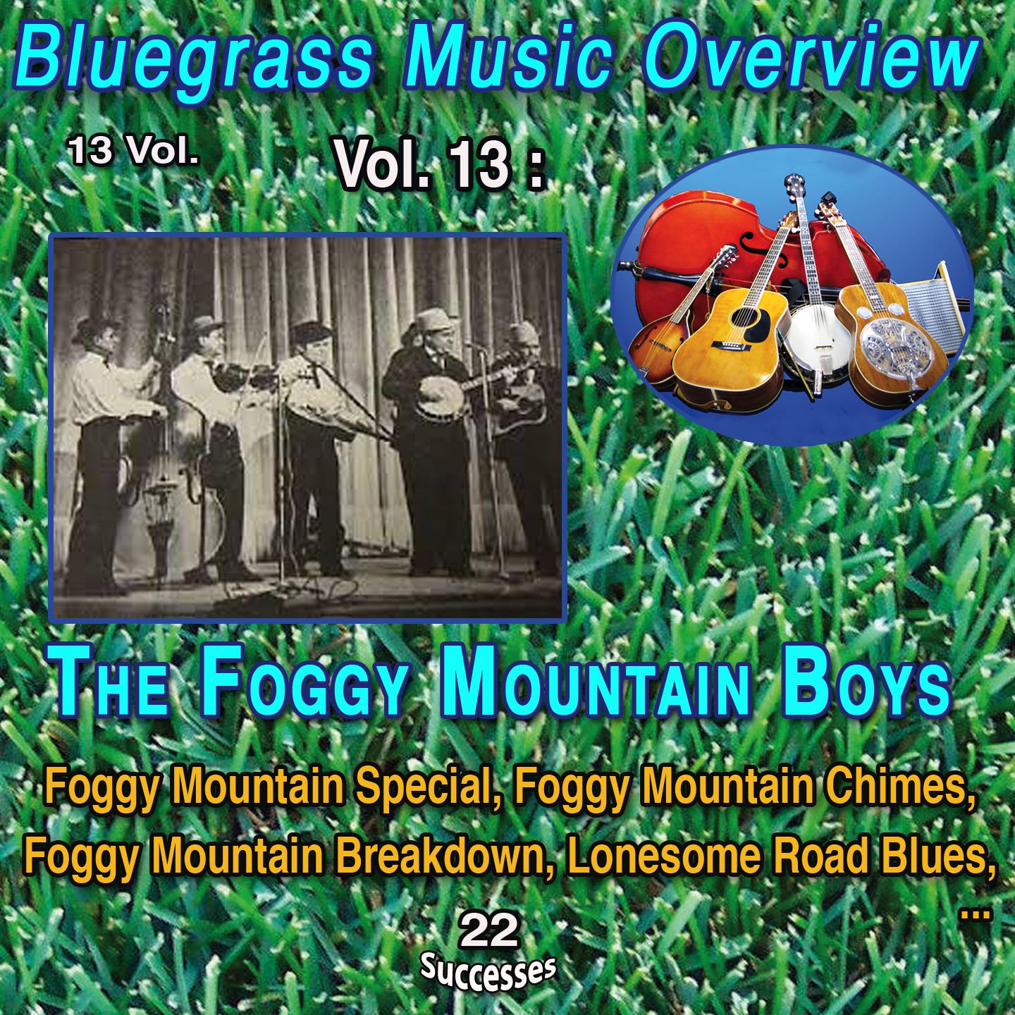 Постер альбома Blue grass Music Overview 13 Vol. / Vol. 13 : The Foggy Mountain Boys