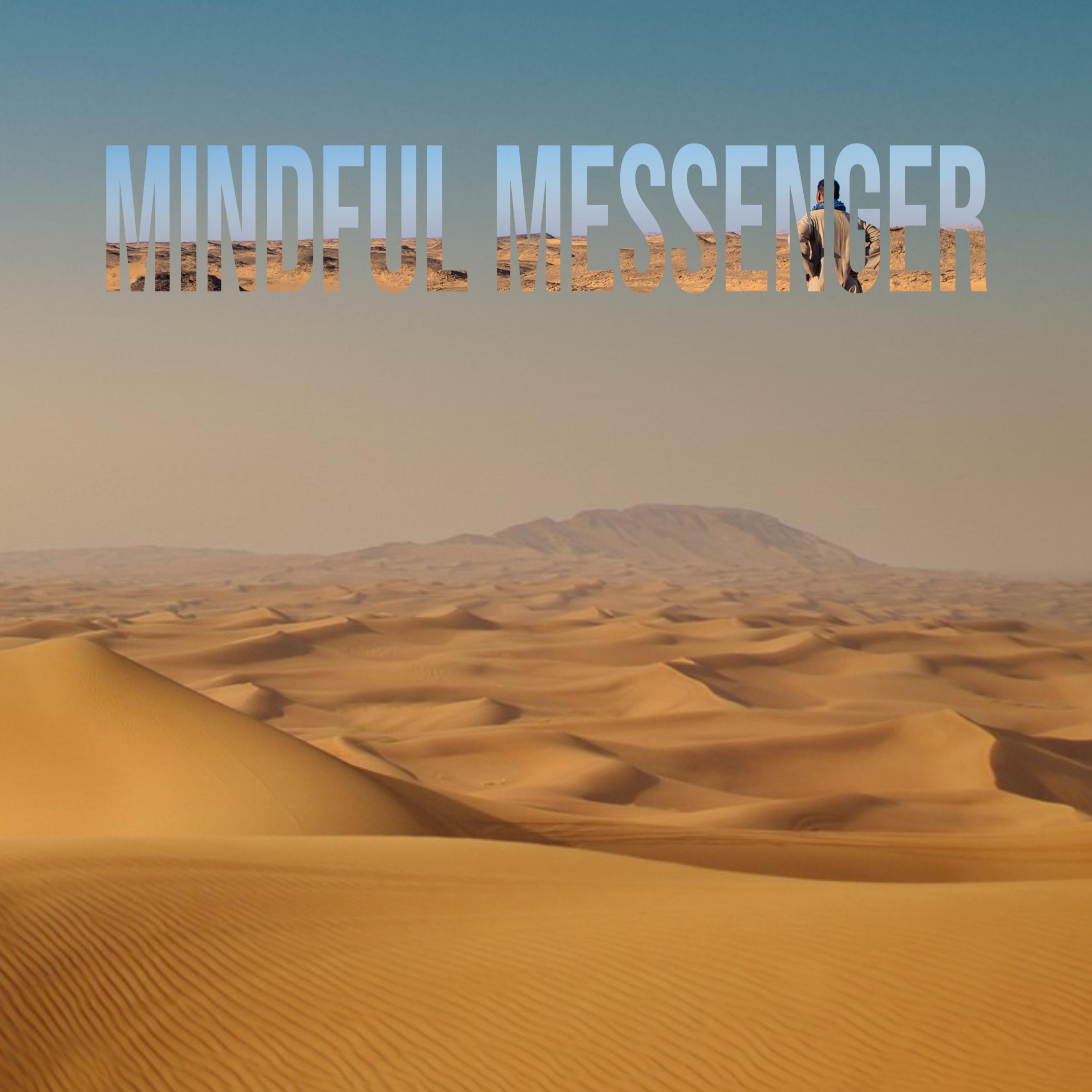 Постер альбома Mindful messenger