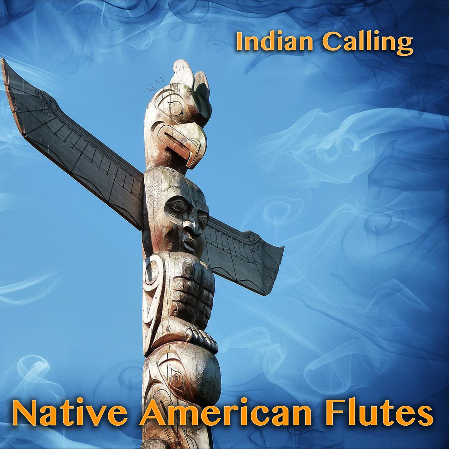 Постер альбома Native American Flutes