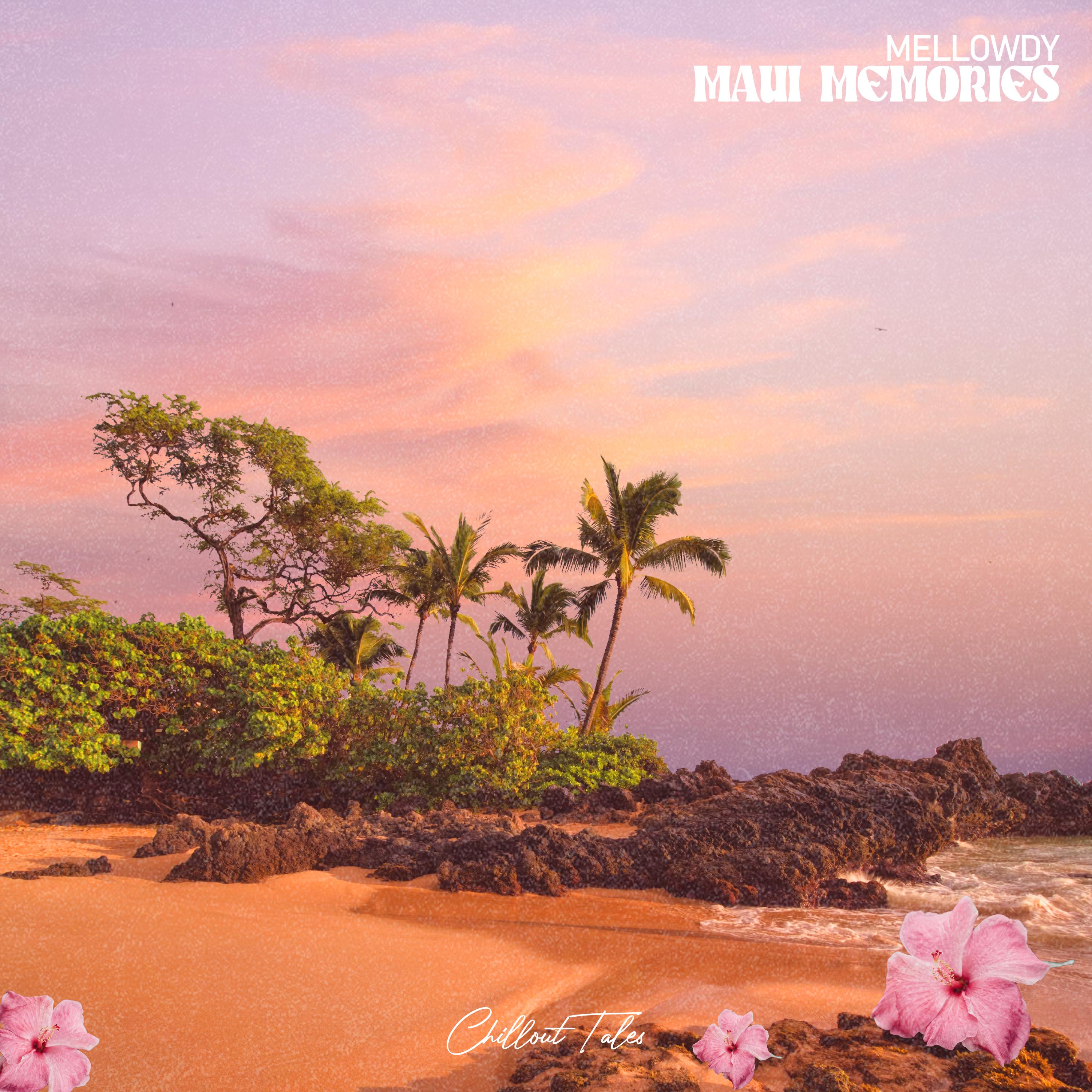 Постер альбома Maui Memories