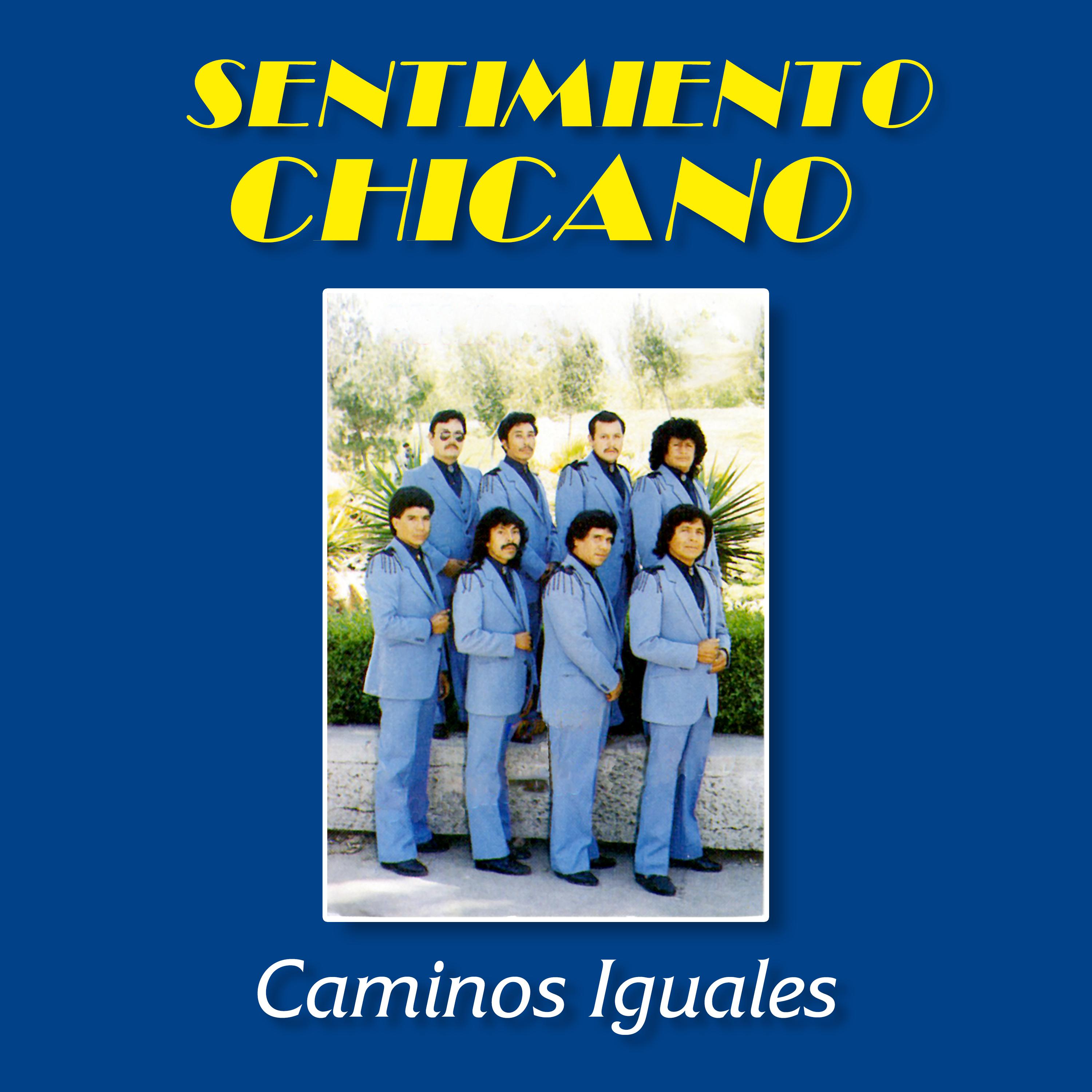 Постер альбома Caminos Iguales
