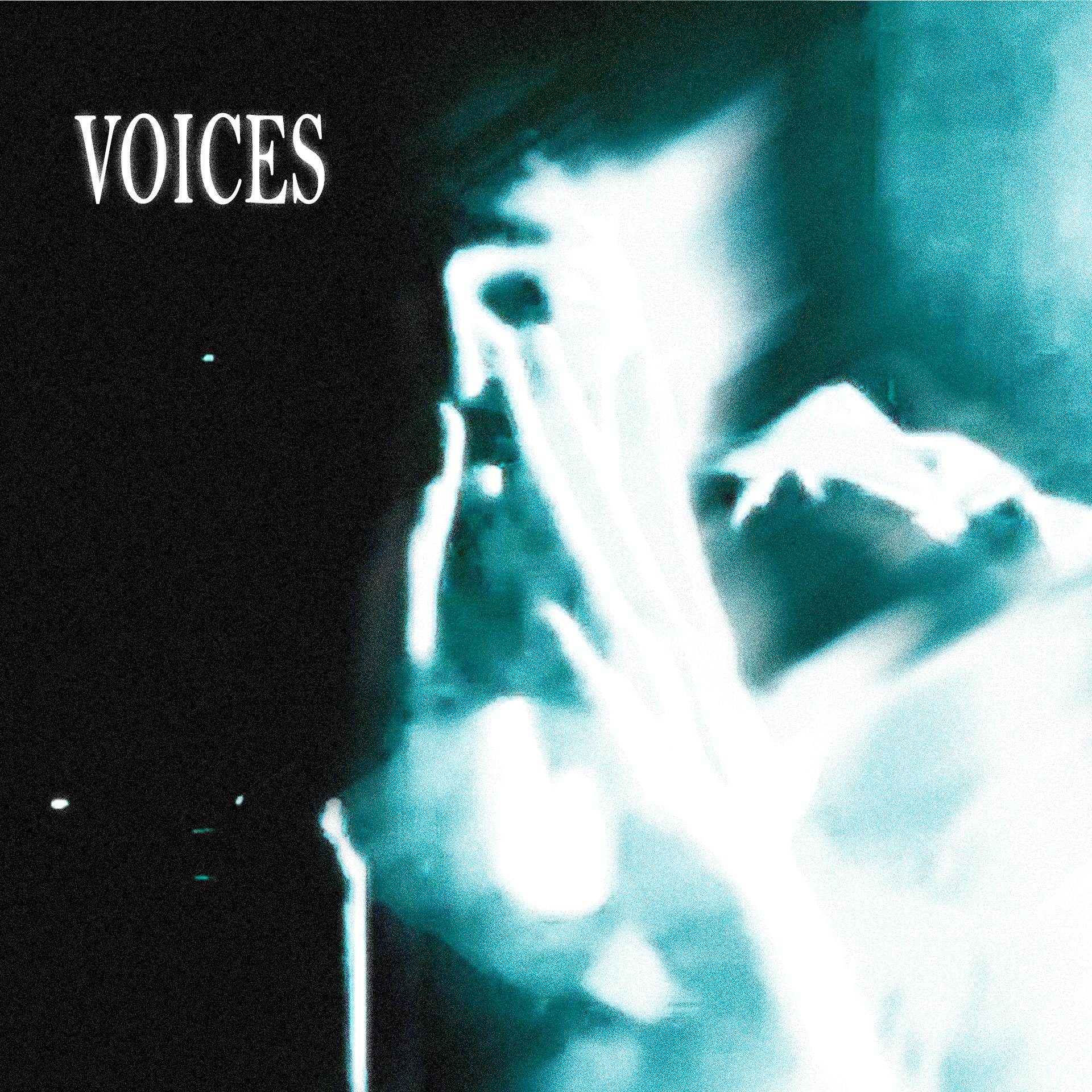 Постер альбома voices