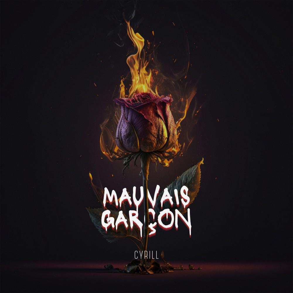 Постер альбома Mauvais Garçon