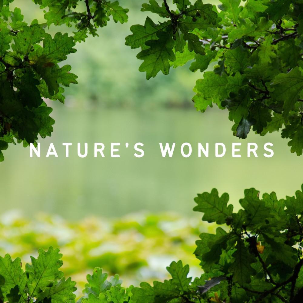 Постер альбома Nature's Wonders