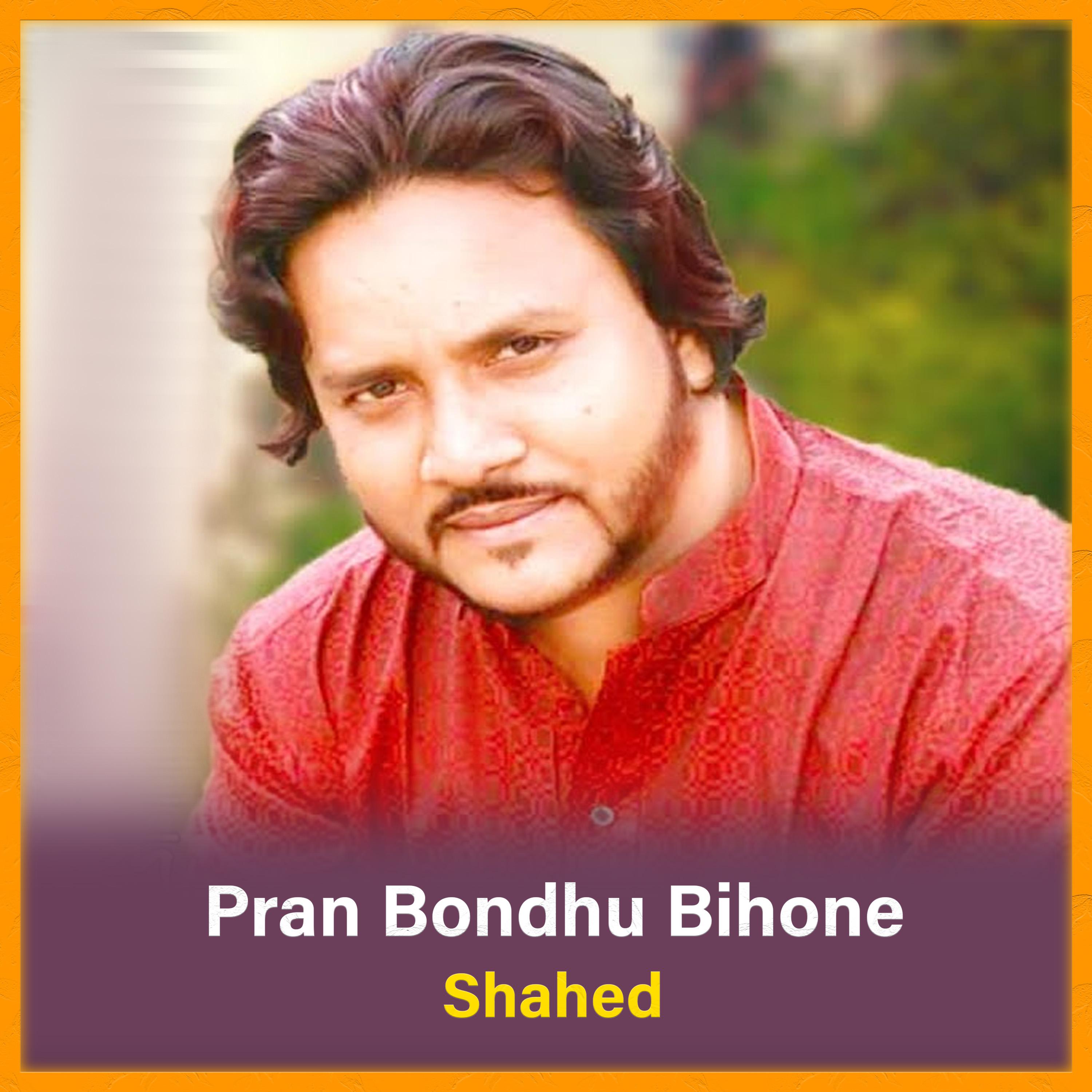 Постер альбома Pran Bondhu Bihone