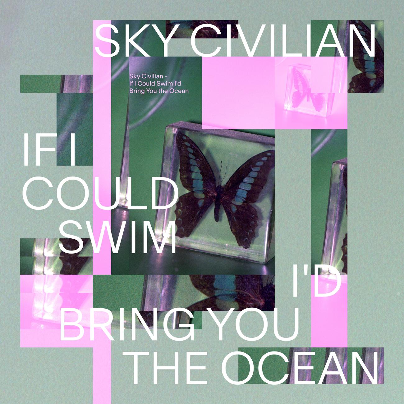 Постер альбома If I Could Swim I'd Bring You the Ocean