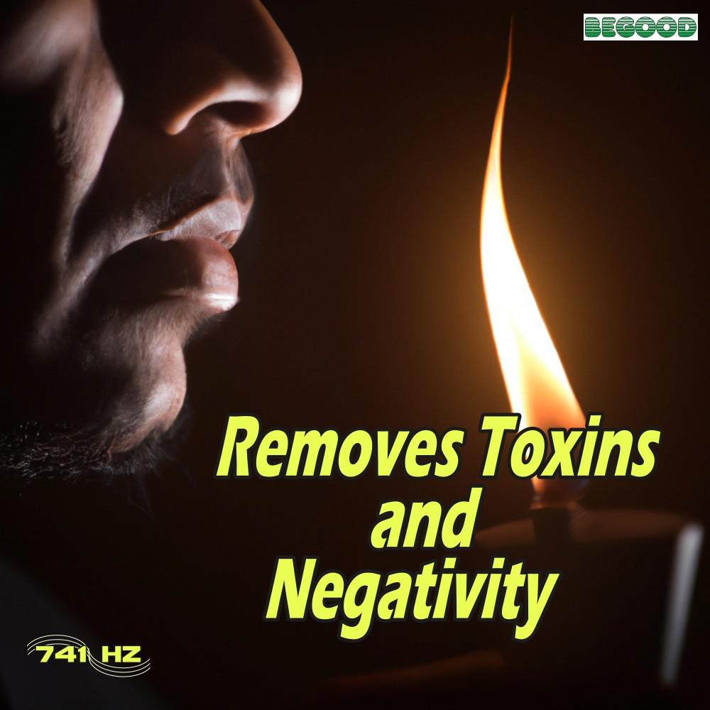 Постер альбома 741 Hz Removes Toxins and Negativity