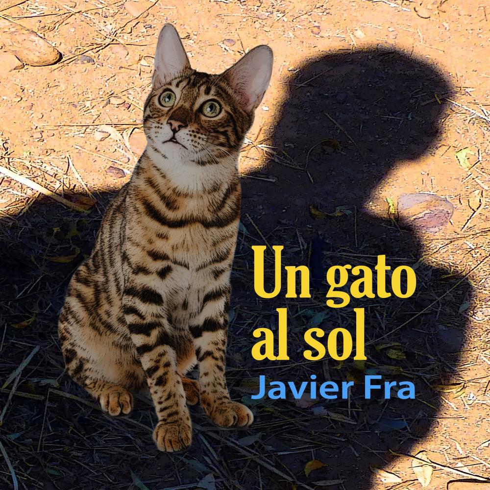 Постер альбома Un Gato al Sol