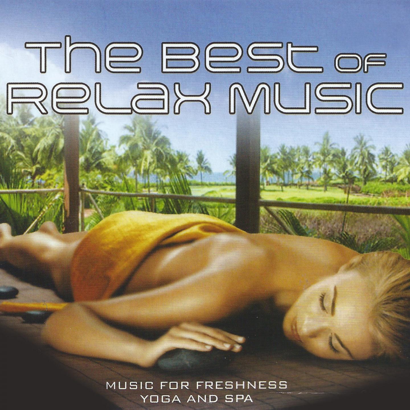 Постер альбома The Best of Relax Music
