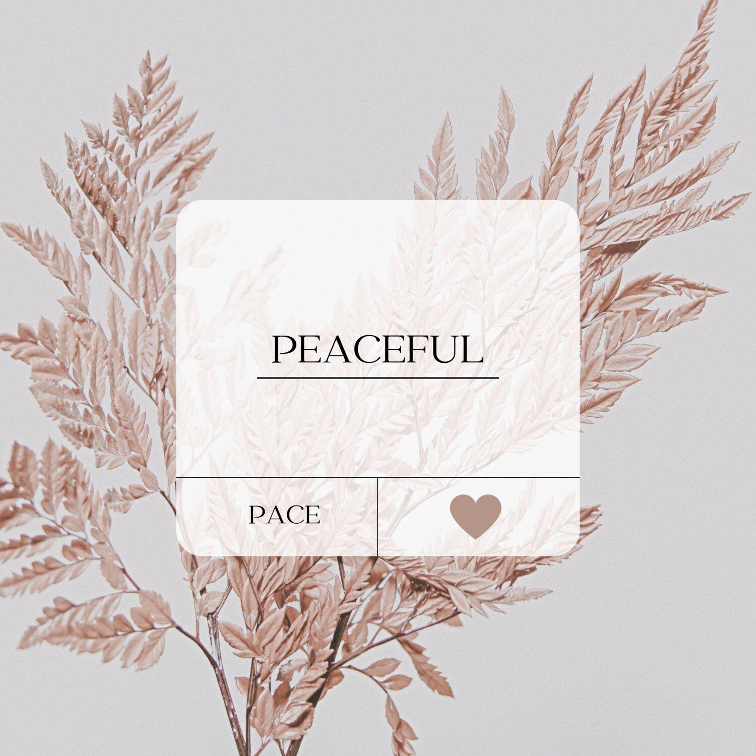 Постер альбома Peaceful