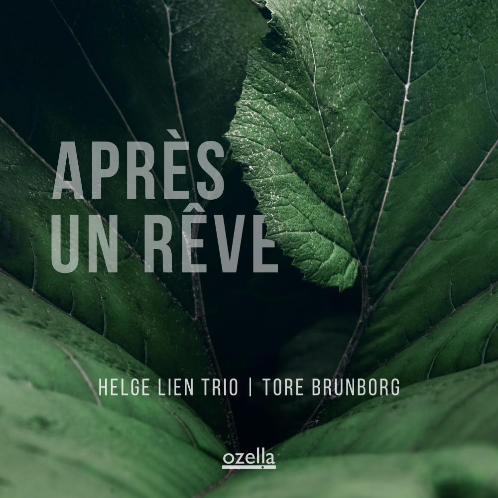 Постер альбома Après Un Rêve