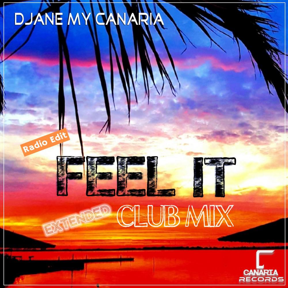 Постер альбома Feel It (Extended Club Mix) [Radio Edit]