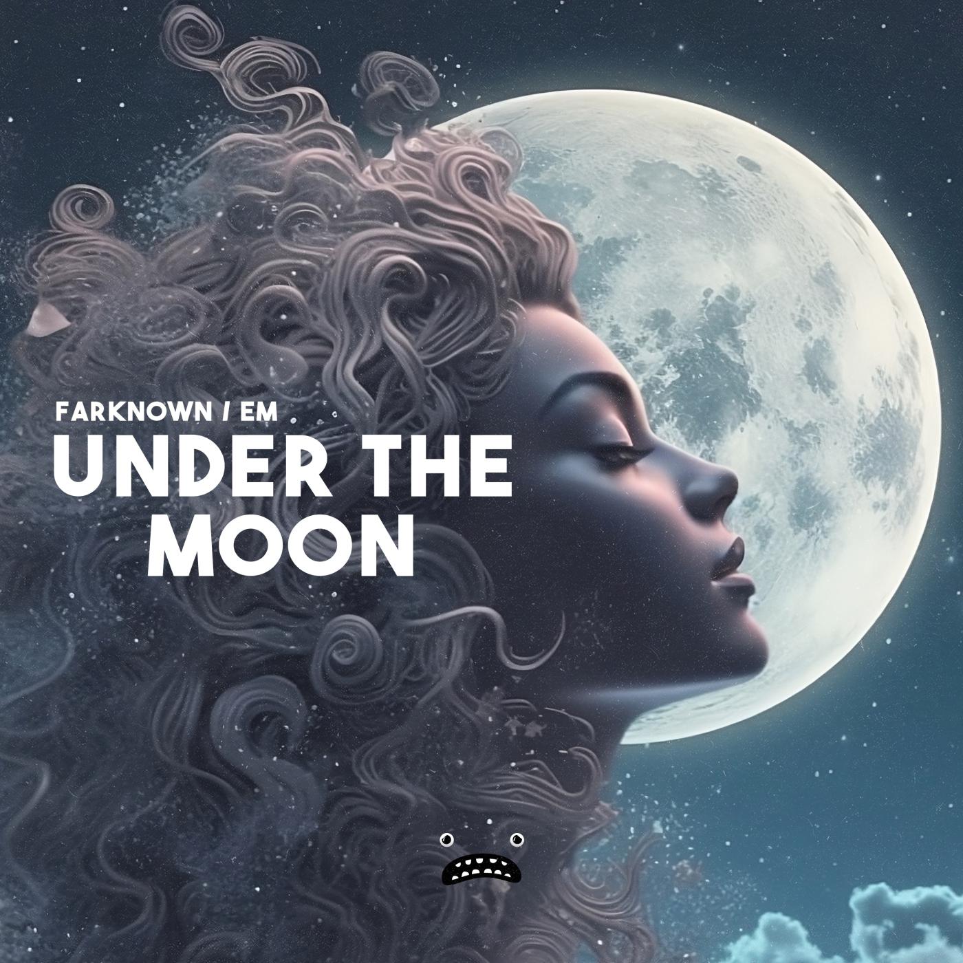 Постер альбома Under The Moon